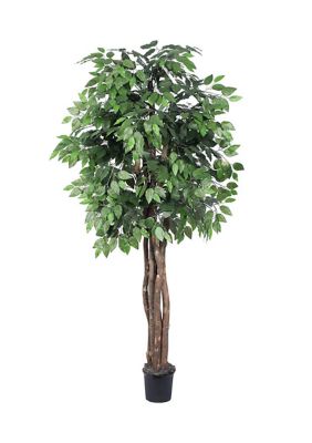 Vickerman Artificial Ficus Executive, Plastic Pot, Green