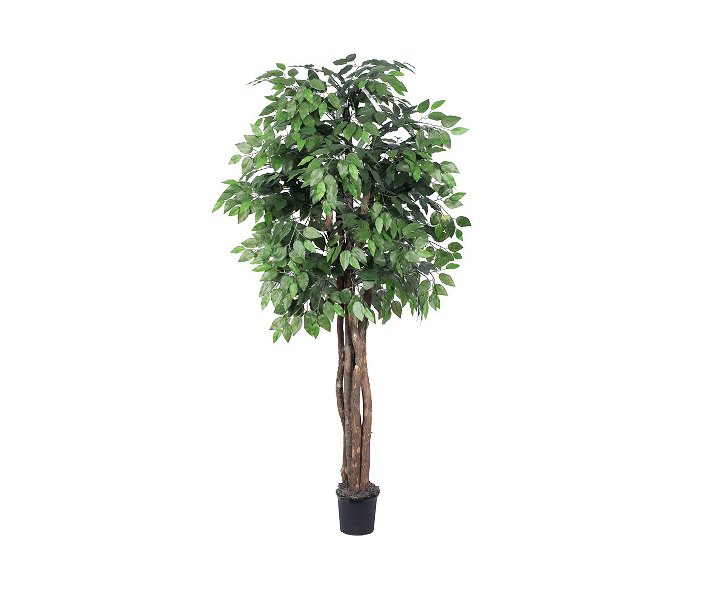 Artificial Ficus Executive, Plastic Pot