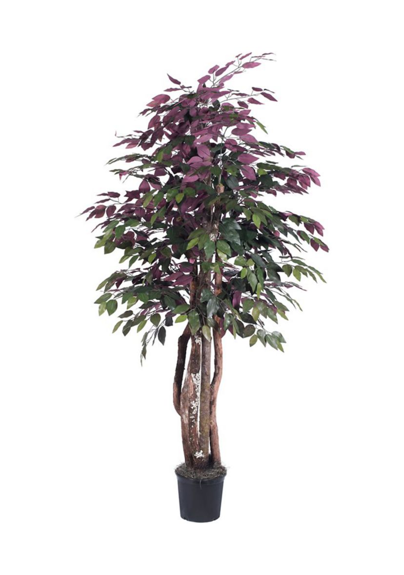 Artificial Capensia Executive, Plastic Pot