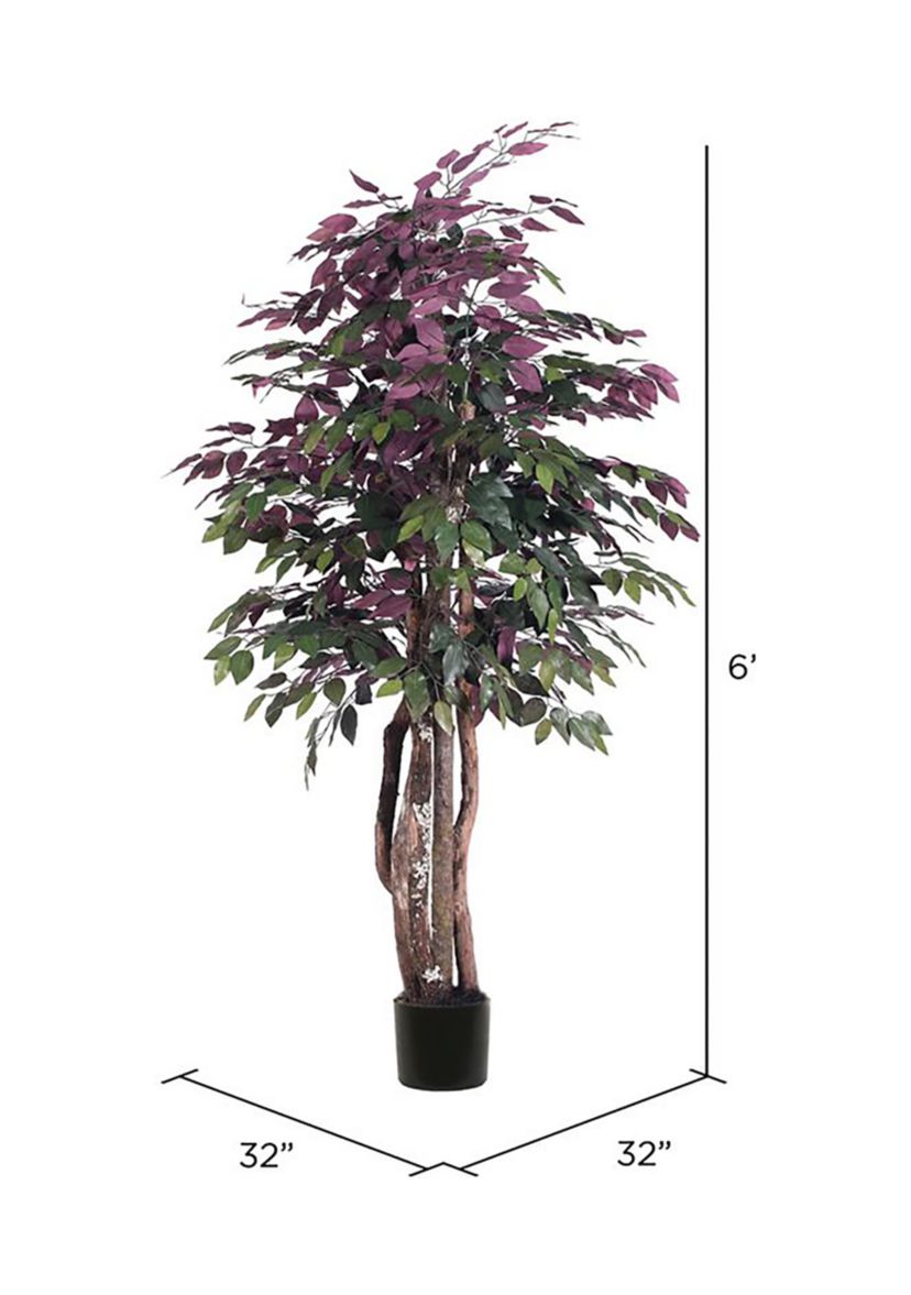 Artificial Capensia Executive, Plastic Pot