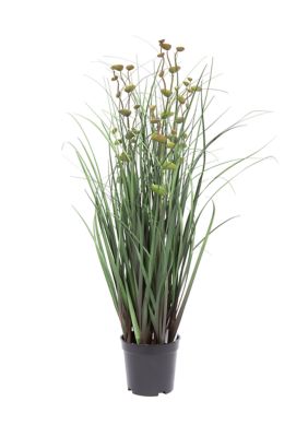 Vickerman 24" Artificial Potted Green Grass and Eucalyptus