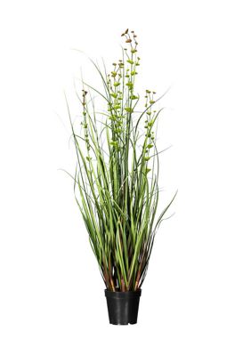 Vickerman 36" Artificial Potted Green Grass and Eucalyptus