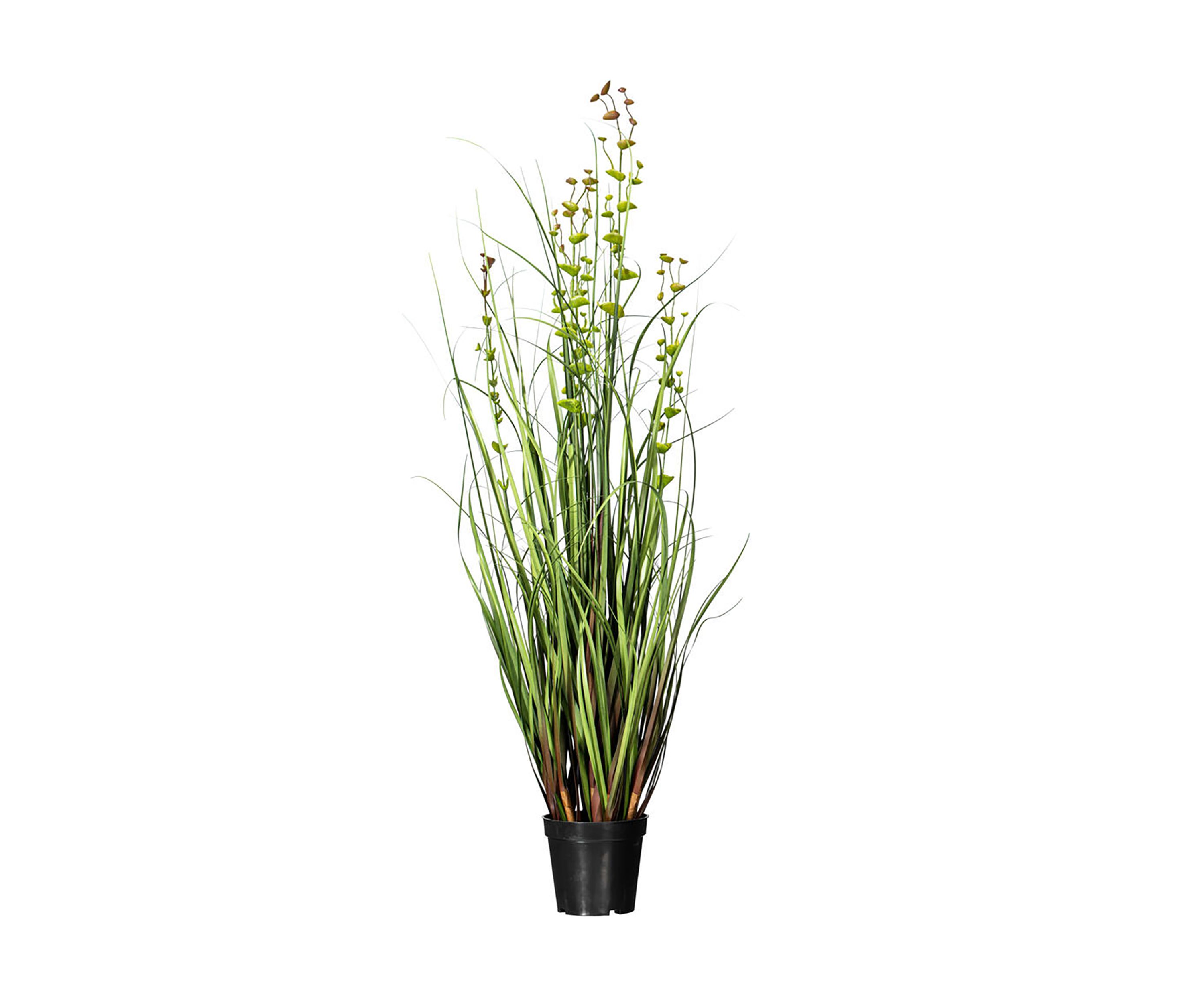 Vickerman 36" Artificial Potted Green Grass and Eucalyptus.