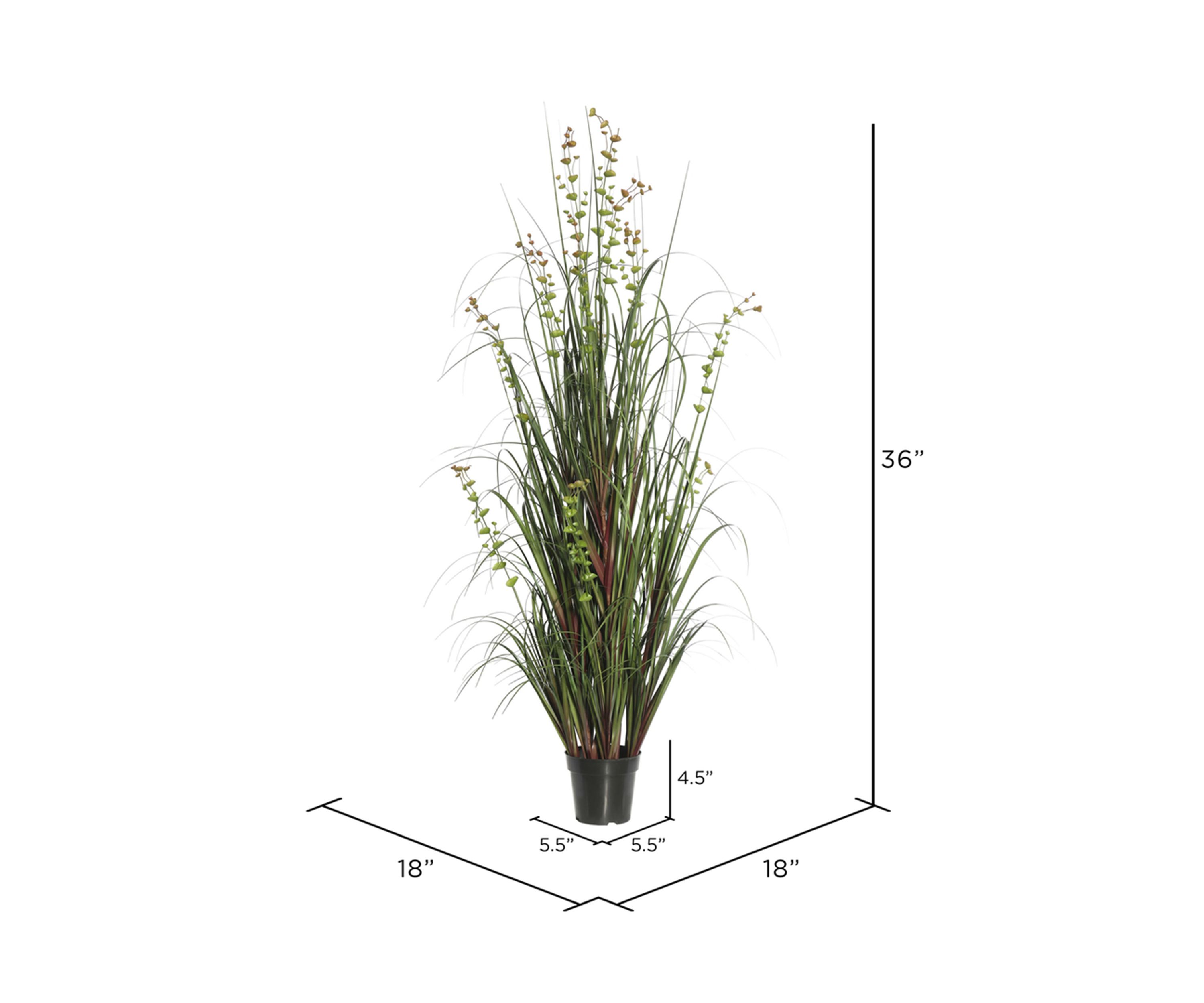 Vickerman 36" Artificial Potted Green Grass and Eucalyptus.