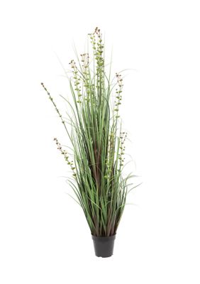Vickerman 60" Artificial Potted Green Grass and Eucalyptus