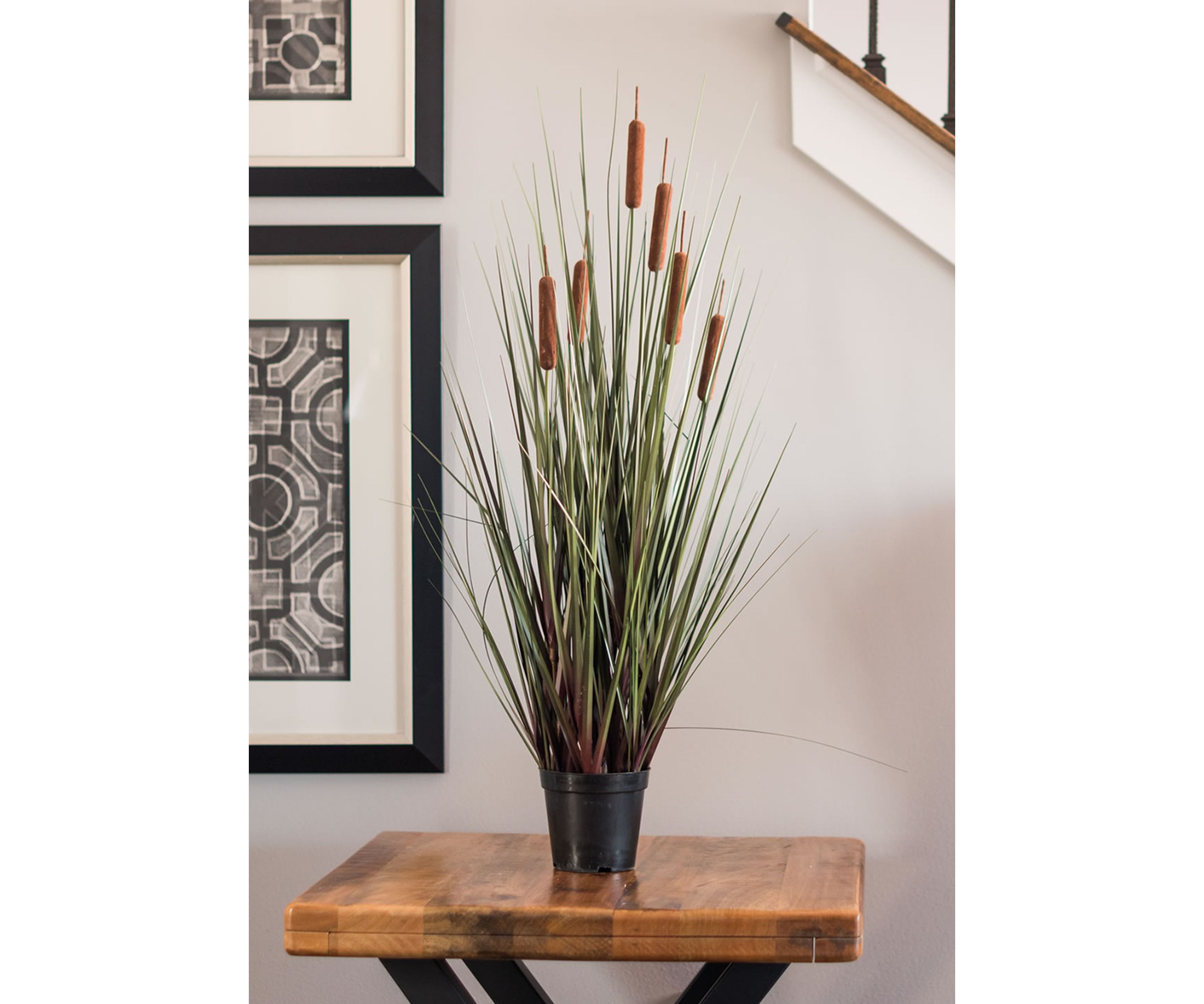 Potted Green Straight Grass and Cattails