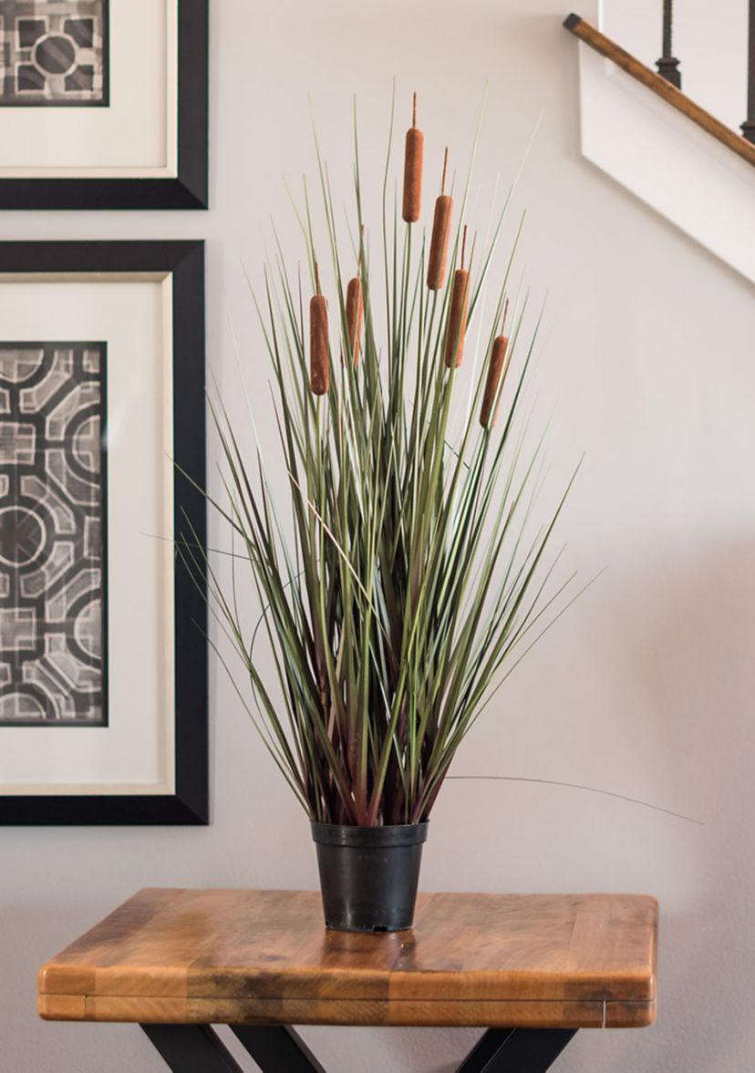 Potted Green Straight Grass and Cattails