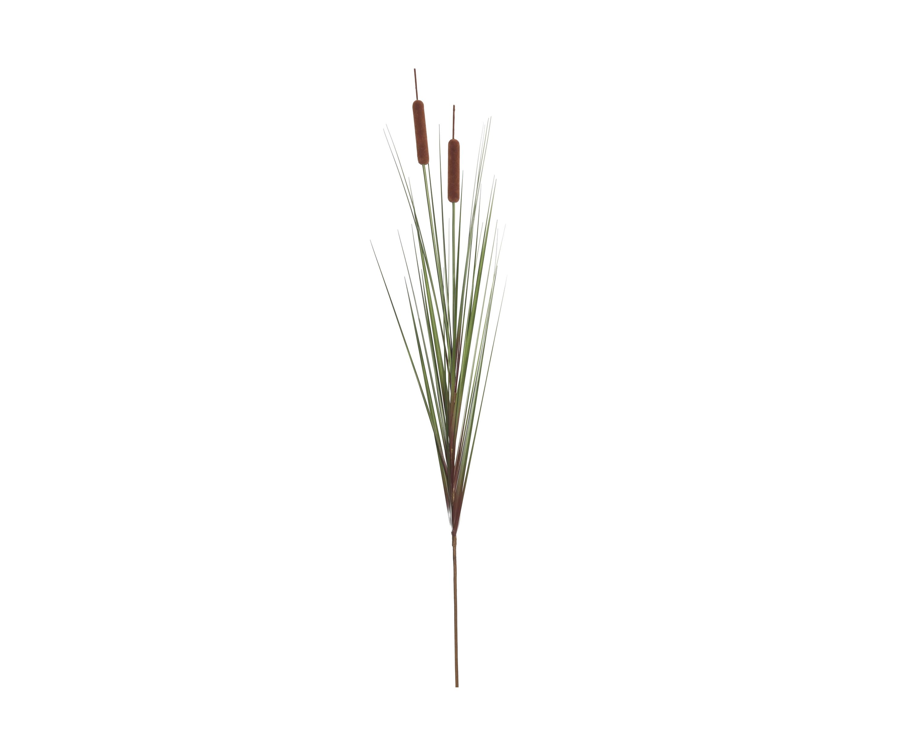 Potted Green Straight Grass and Cattails