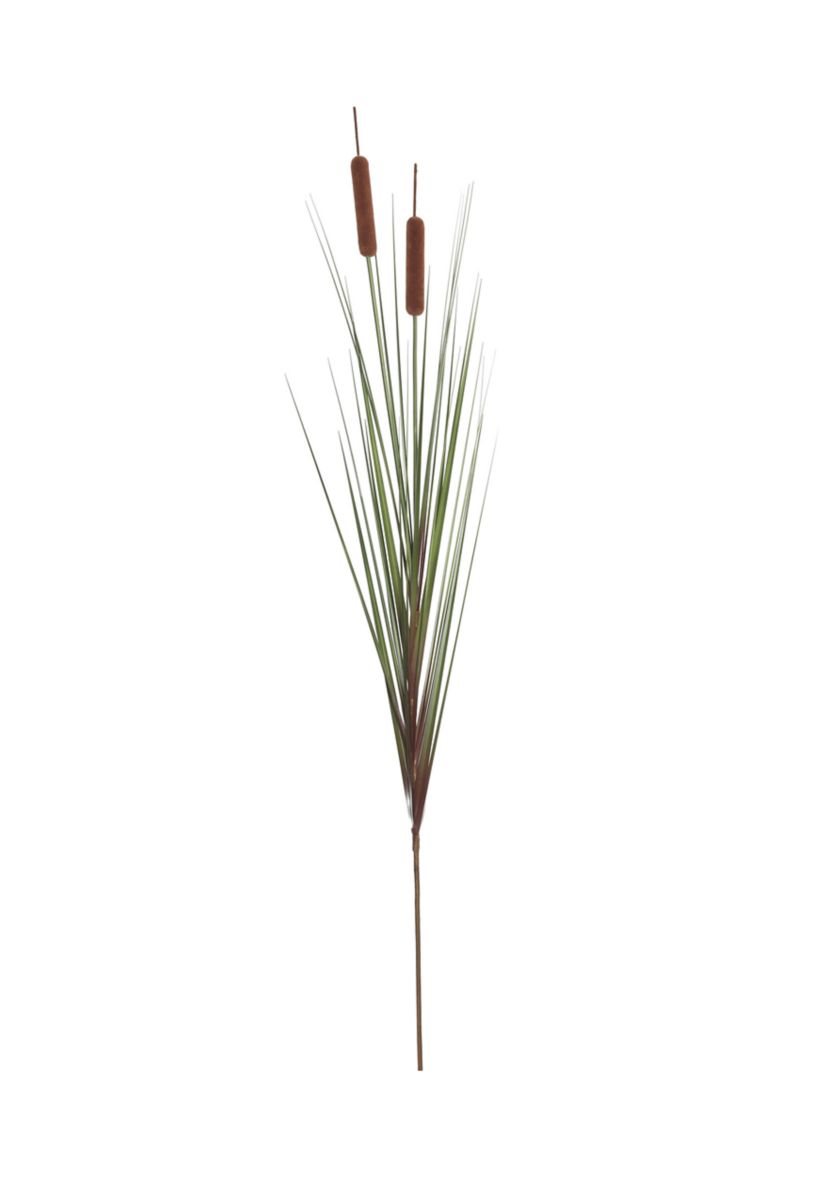 Potted Green Straight Grass and Cattails