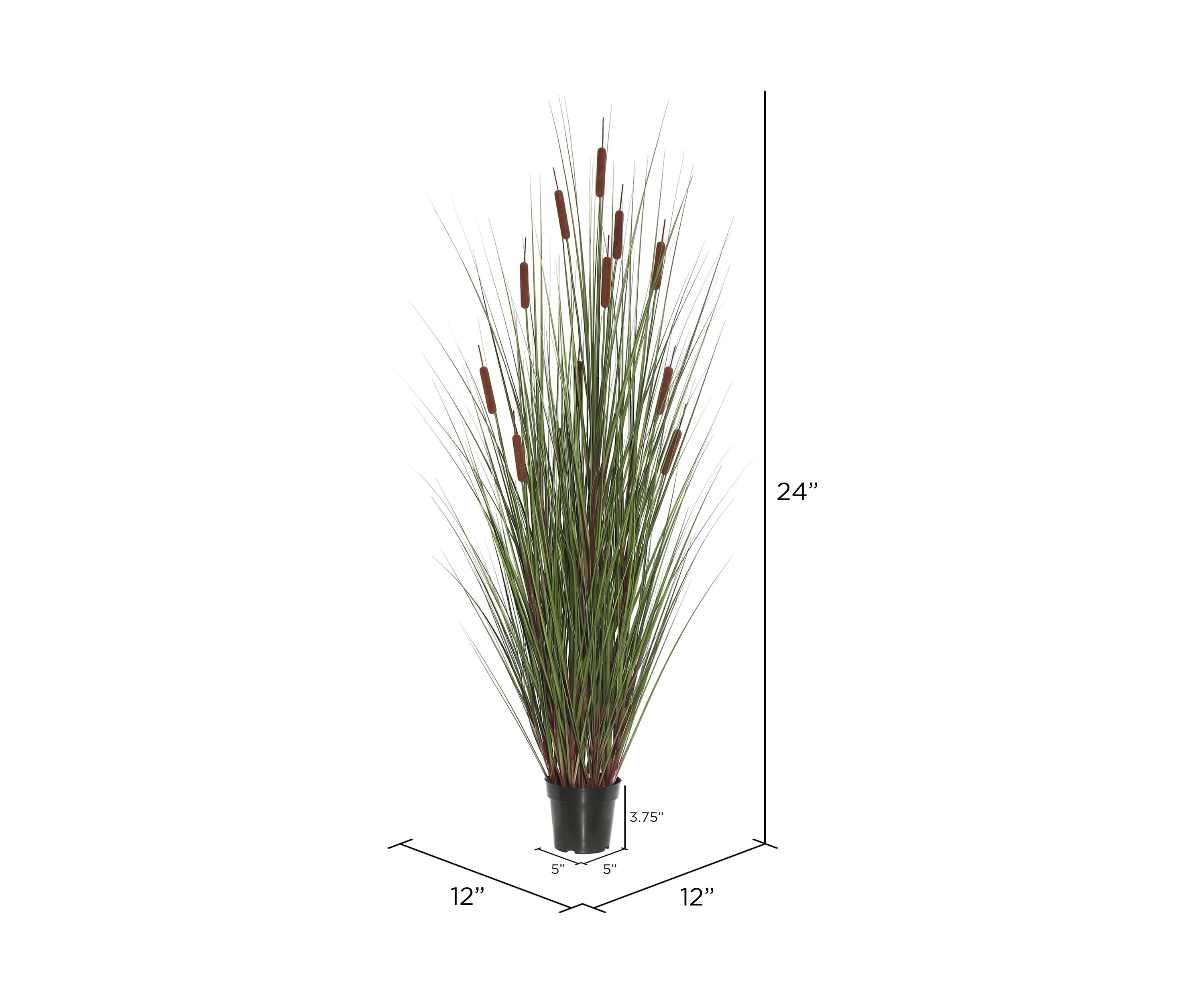 Potted Green Straight Grass and Cattails