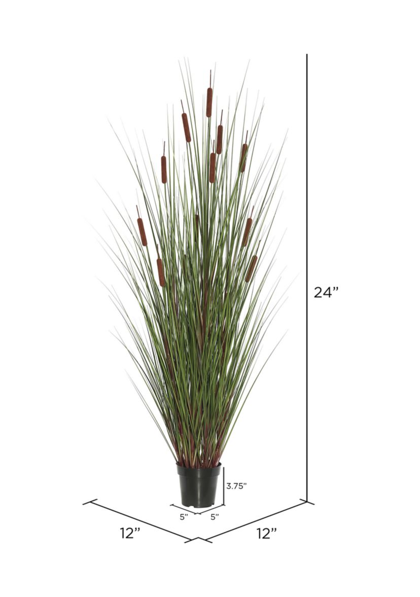 Potted Green Straight Grass and Cattails