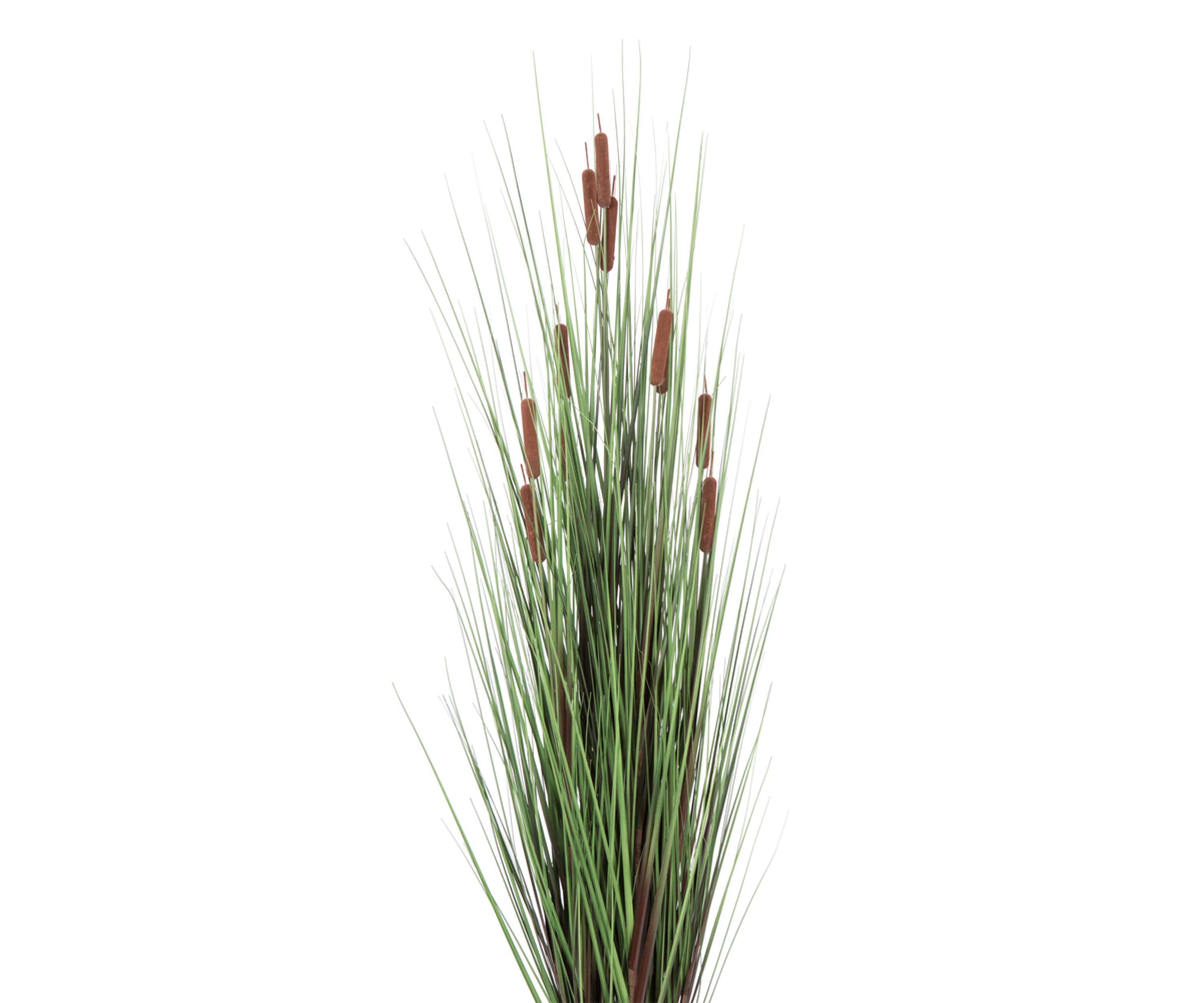 Vickerman 60" Artificial Potted Green Straight Grass and Cattails.