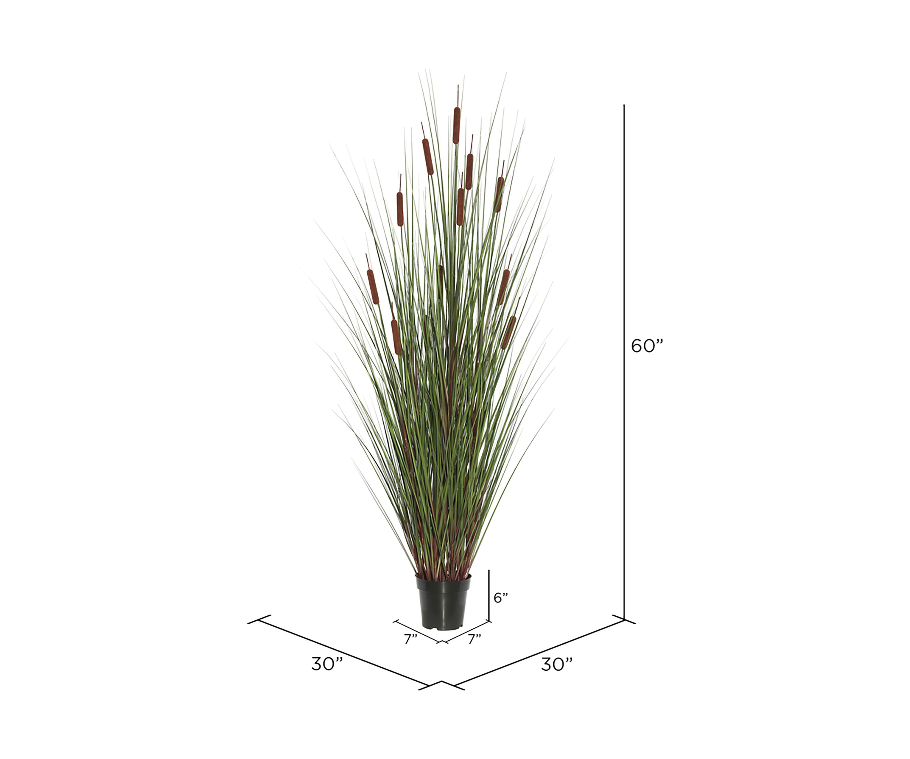 Vickerman 60" Artificial Potted Green Straight Grass and Cattails.