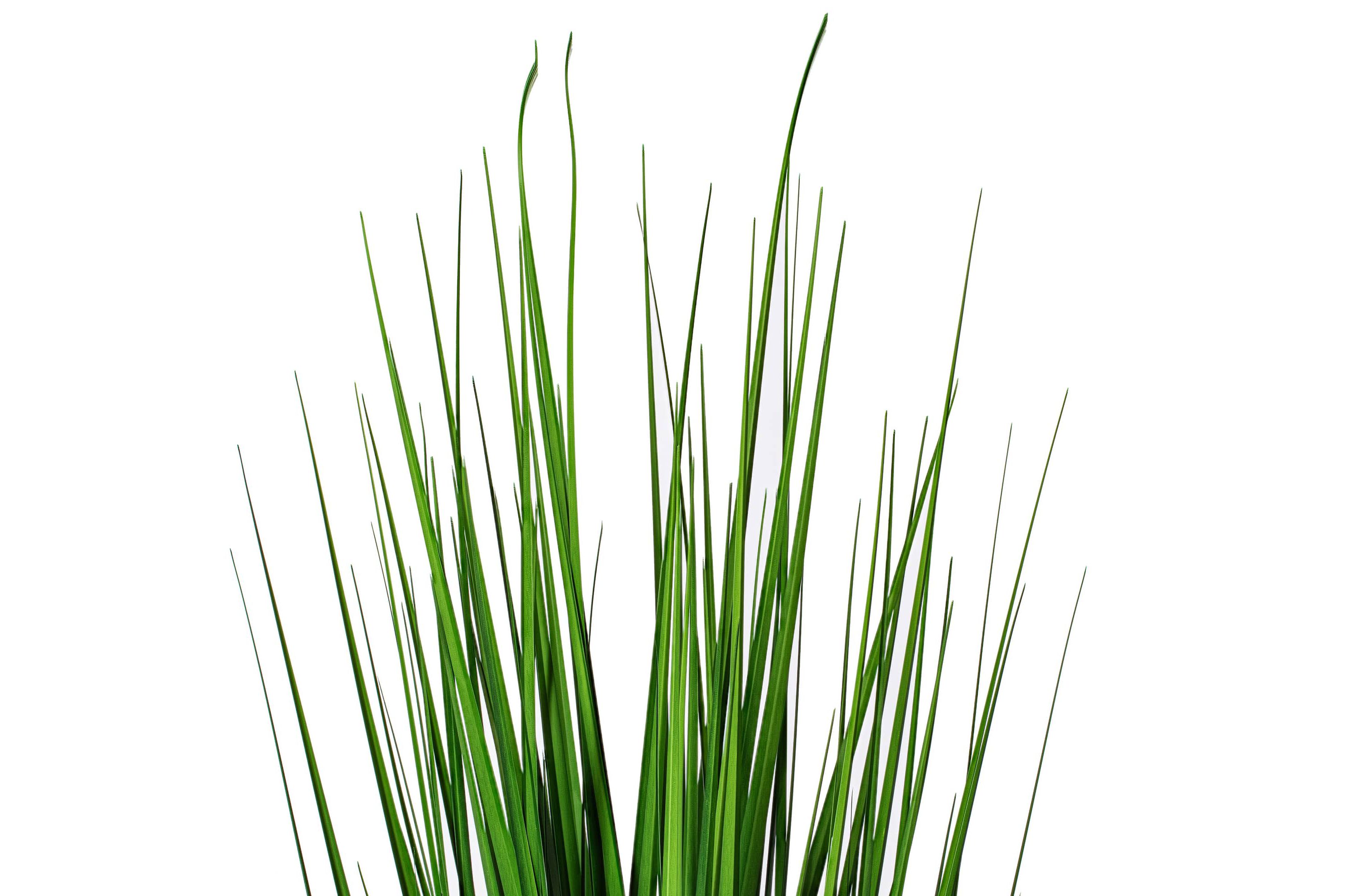 Vickerman 36" Artificial Potted Extra Full Green Grass.