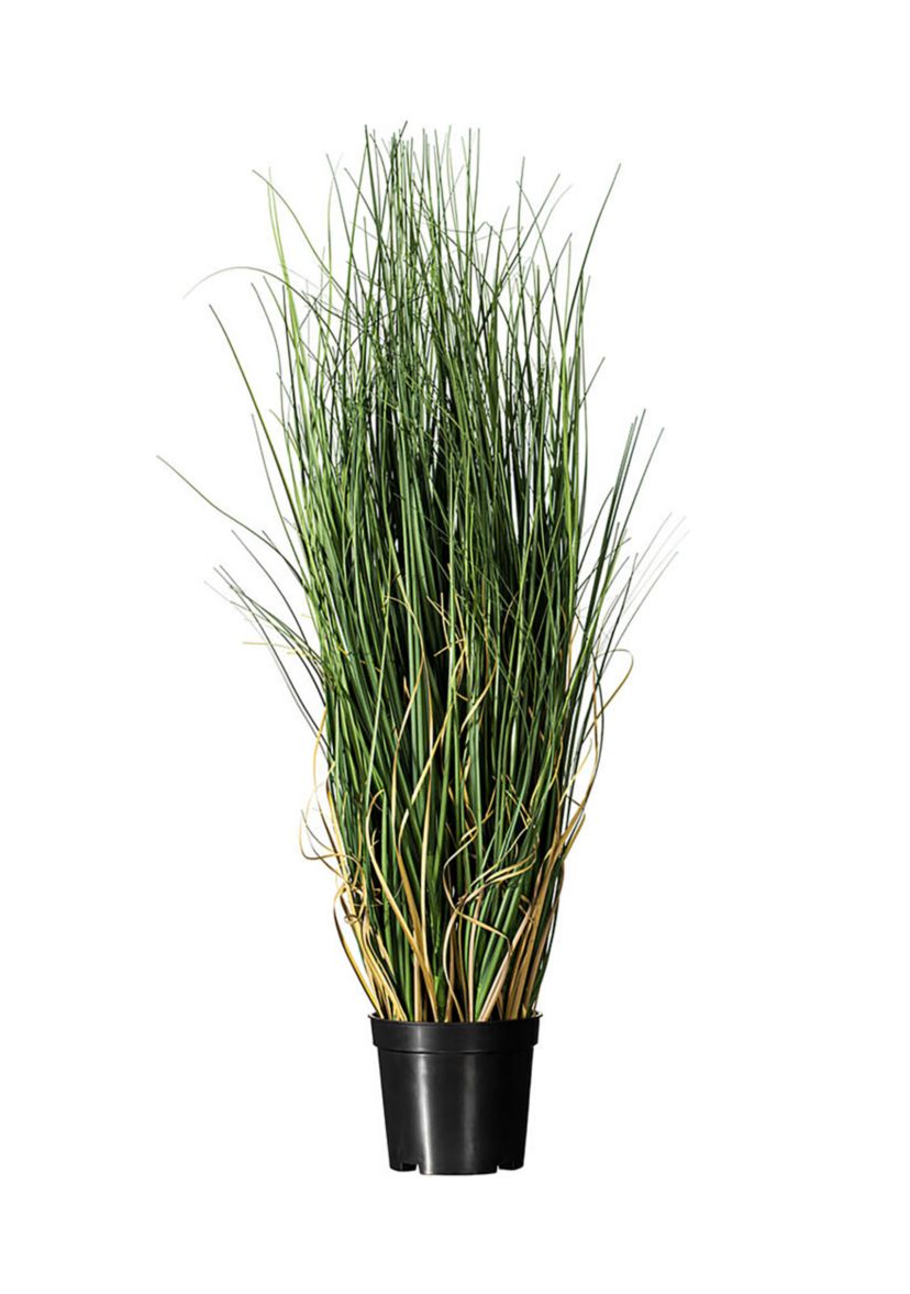 Vickerman 24" PVC Artificial Potted Green Curled Grass.