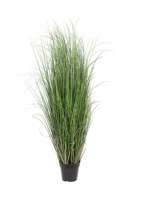 Vickerman Potted Green Curled Grass