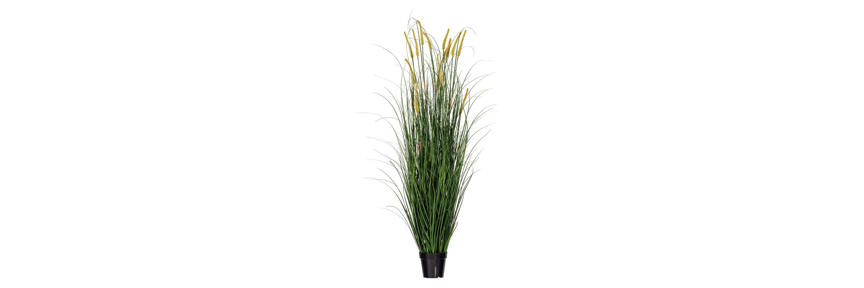 Vickerman 60" PVC Artificial Potted Green Foxtail Grass.