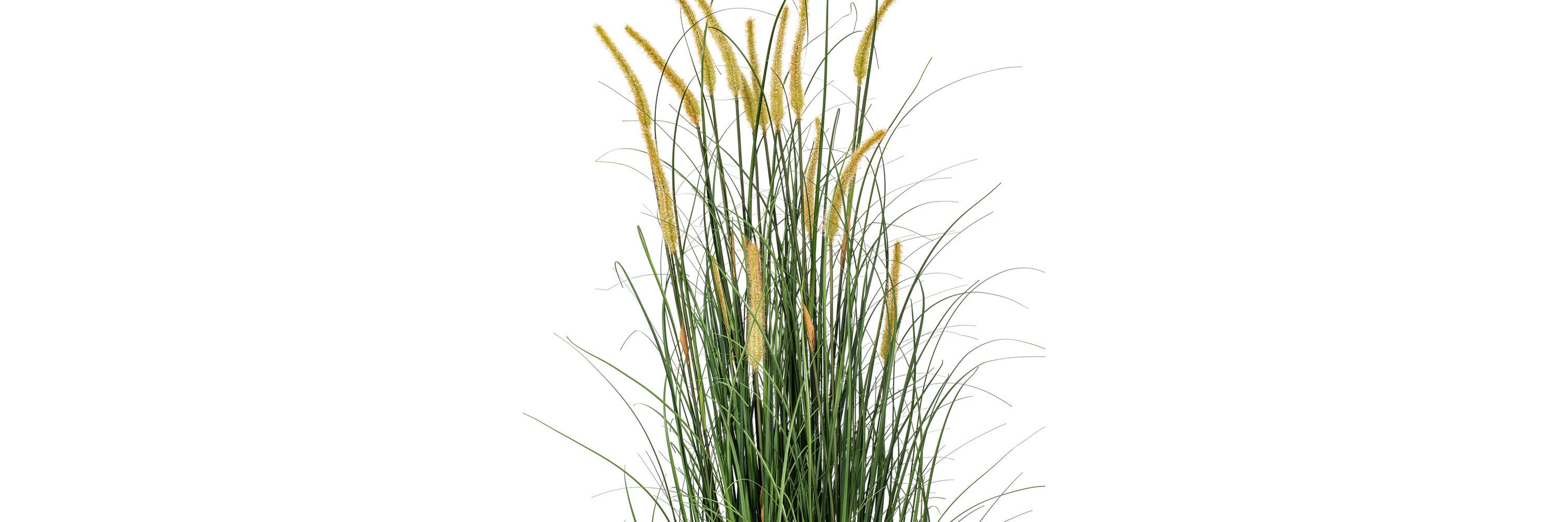 Vickerman 60" PVC Artificial Potted Green Foxtail Grass.