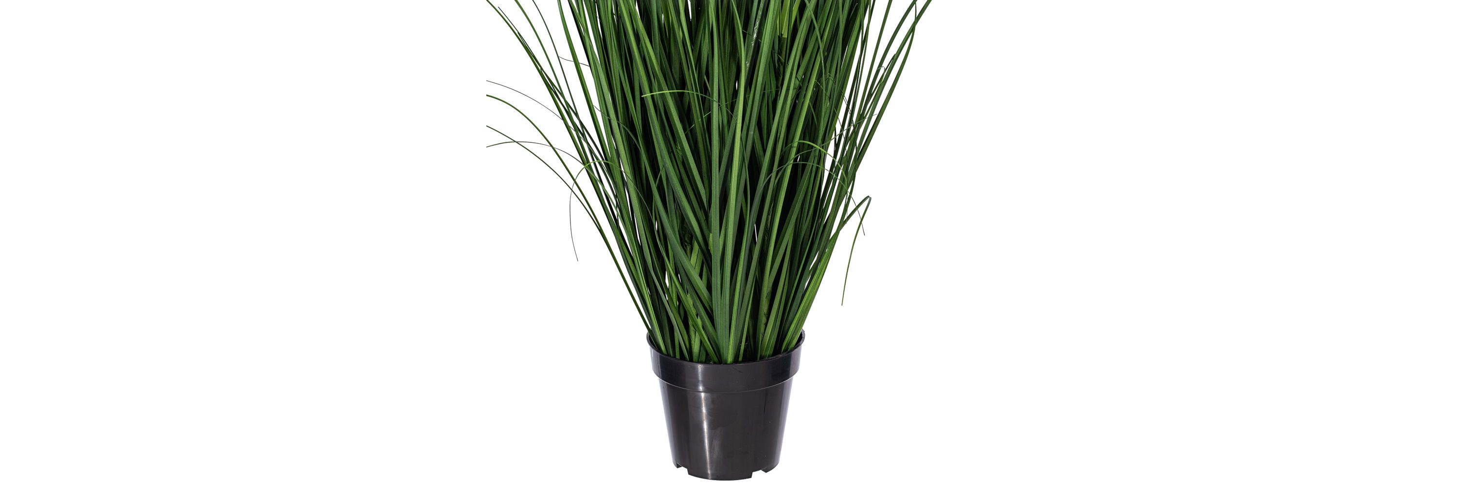 Vickerman 60" PVC Artificial Potted Green Foxtail Grass.
