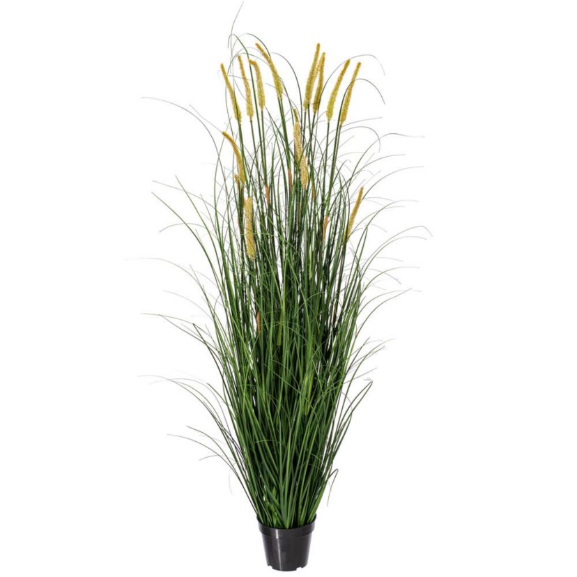 Vickerman 60" PVC Artificial Potted Green Foxtail Grass.