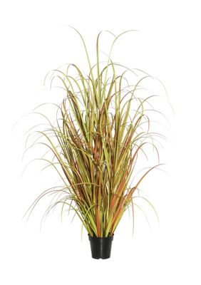 Potted Mixed Brown Grass