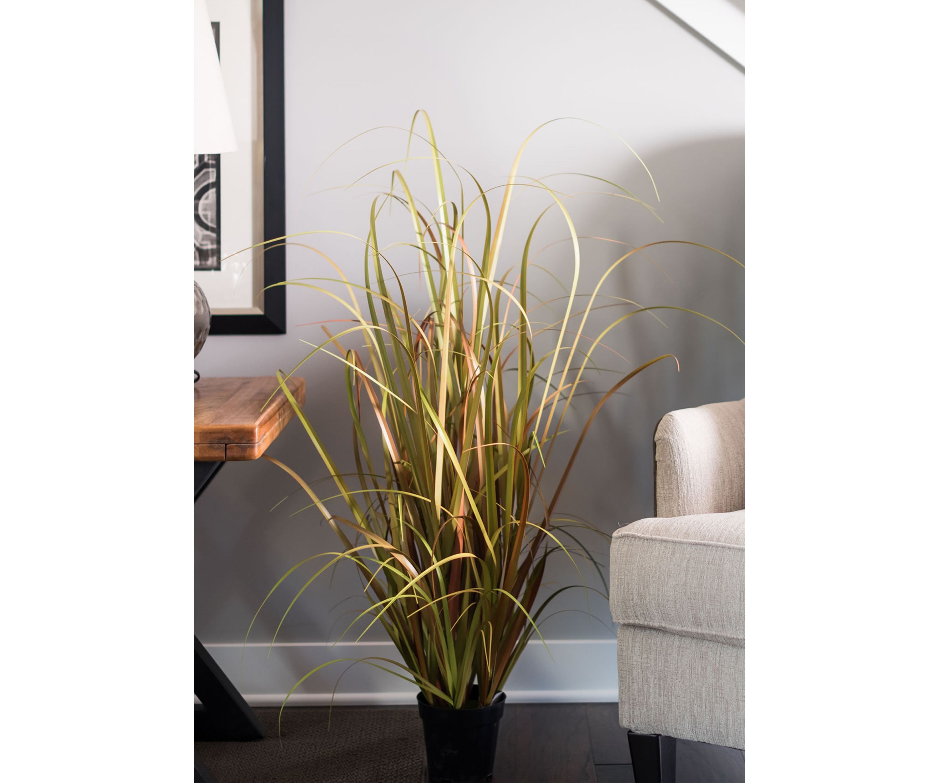 Potted Mixed Brown Grass