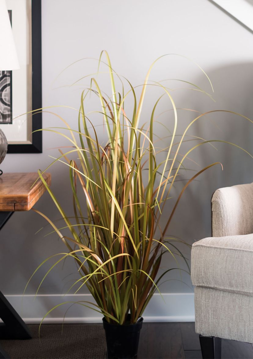 Potted Mixed Brown Grass