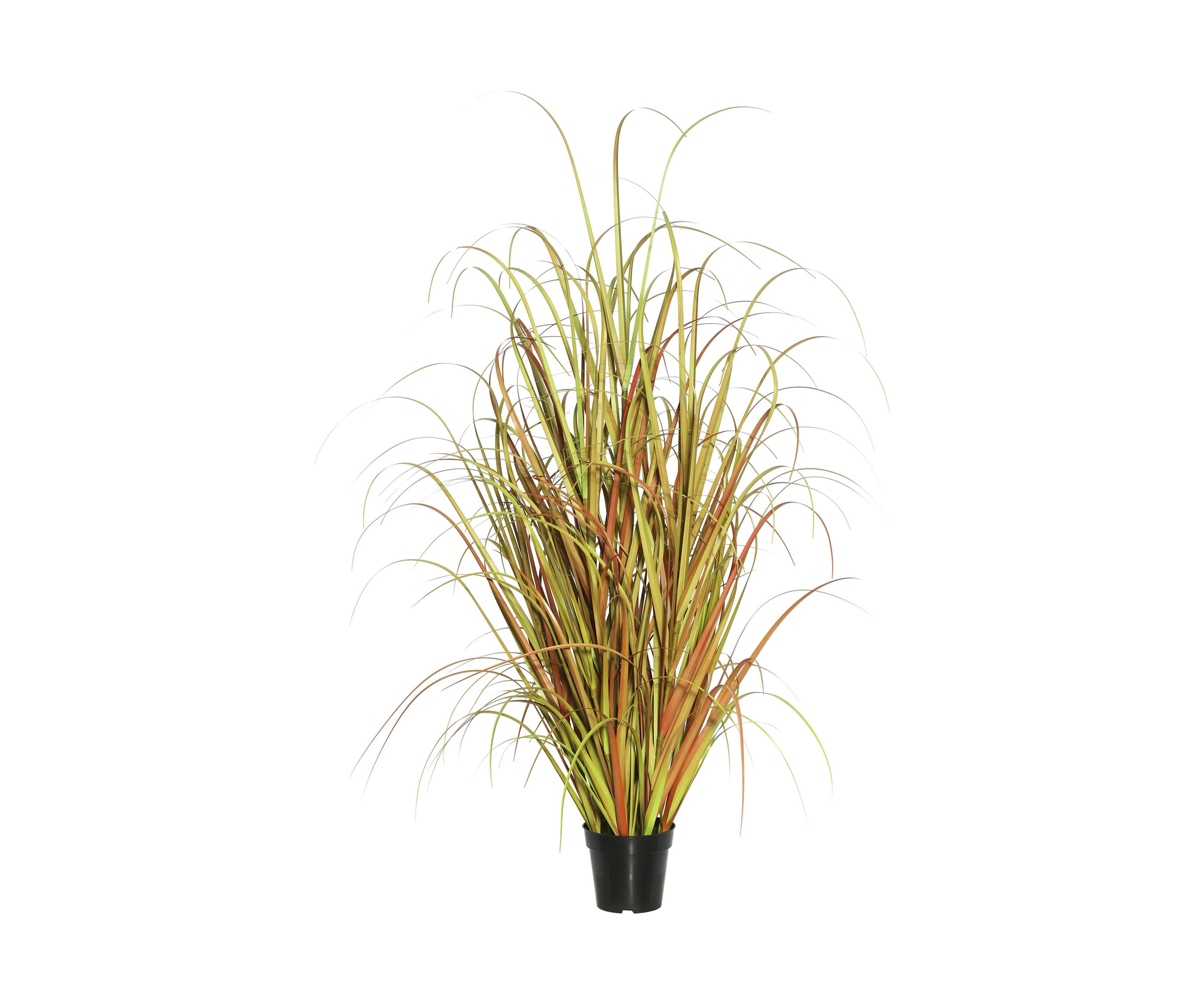 Potted Mixed Brown Grass