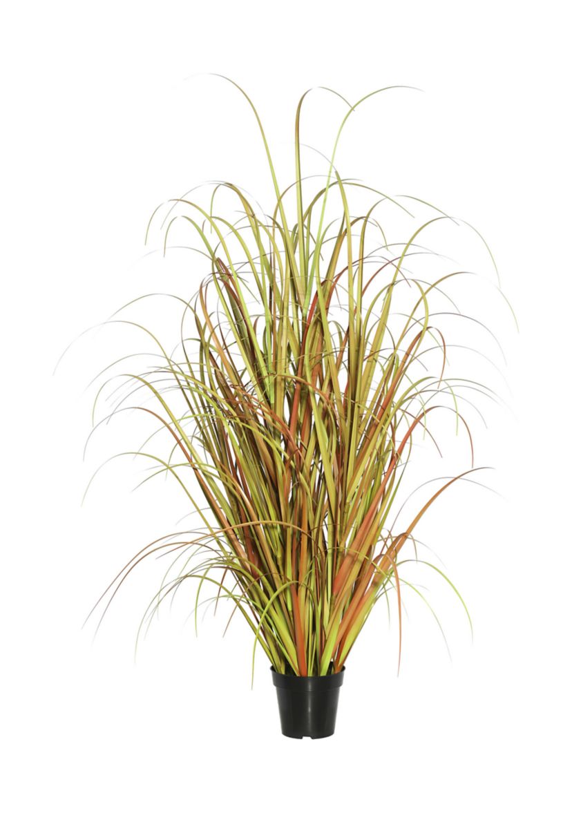 Potted Mixed Brown Grass
