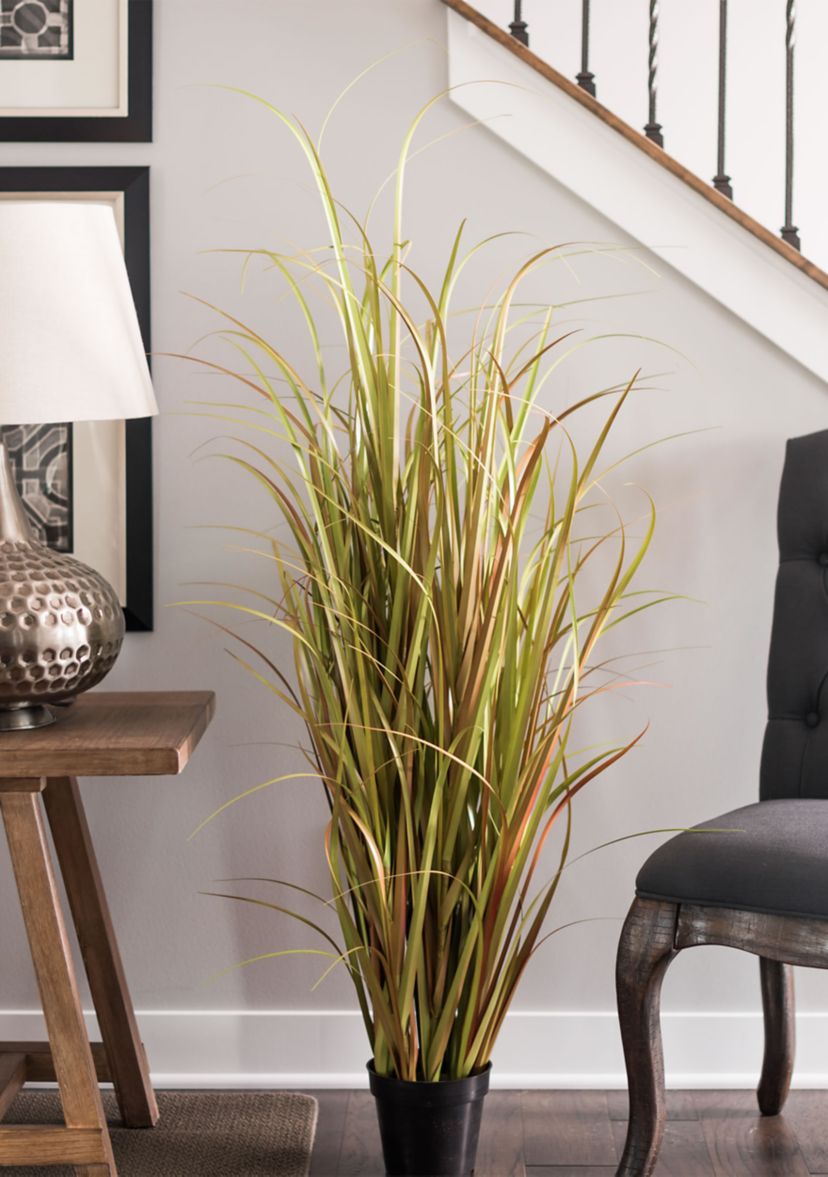 Potted Mixed Brown Grass