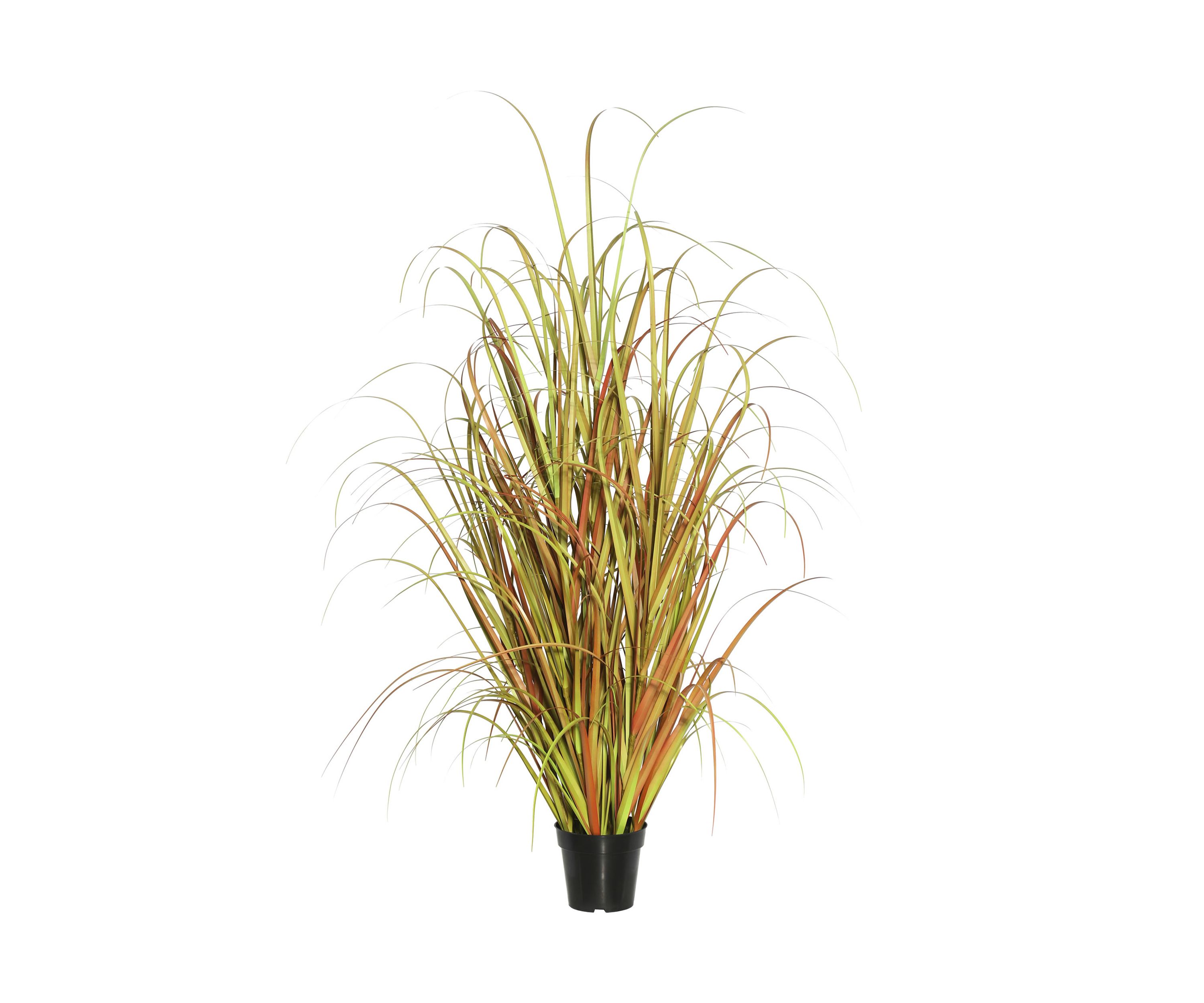 Potted Mixed Brown Grass
