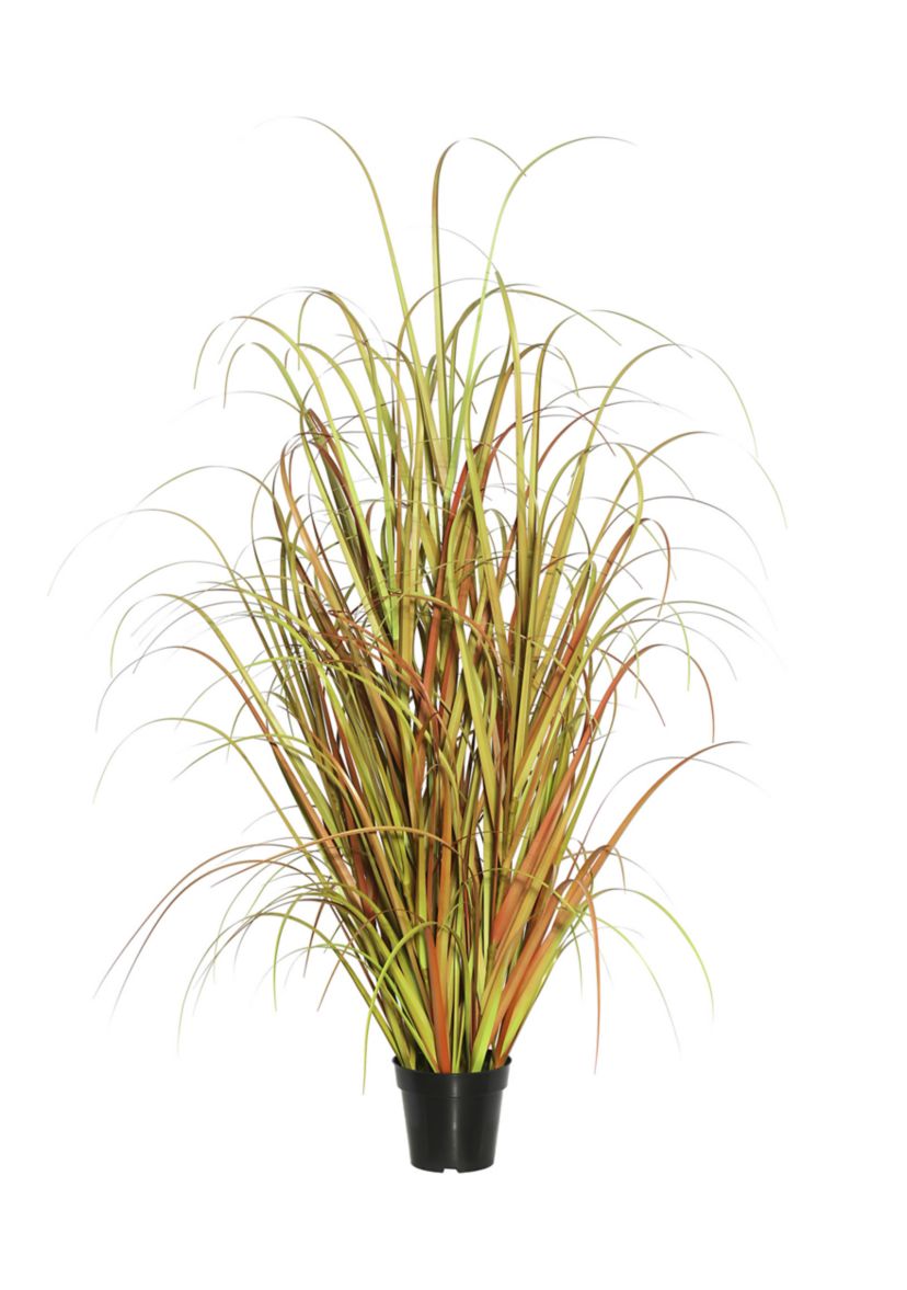 Potted Mixed Brown Grass
