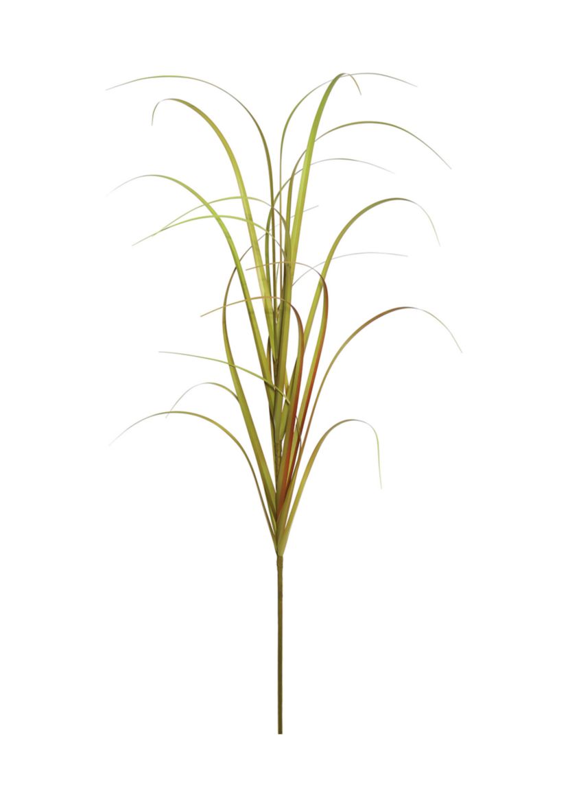 Potted Mixed Brown Grass