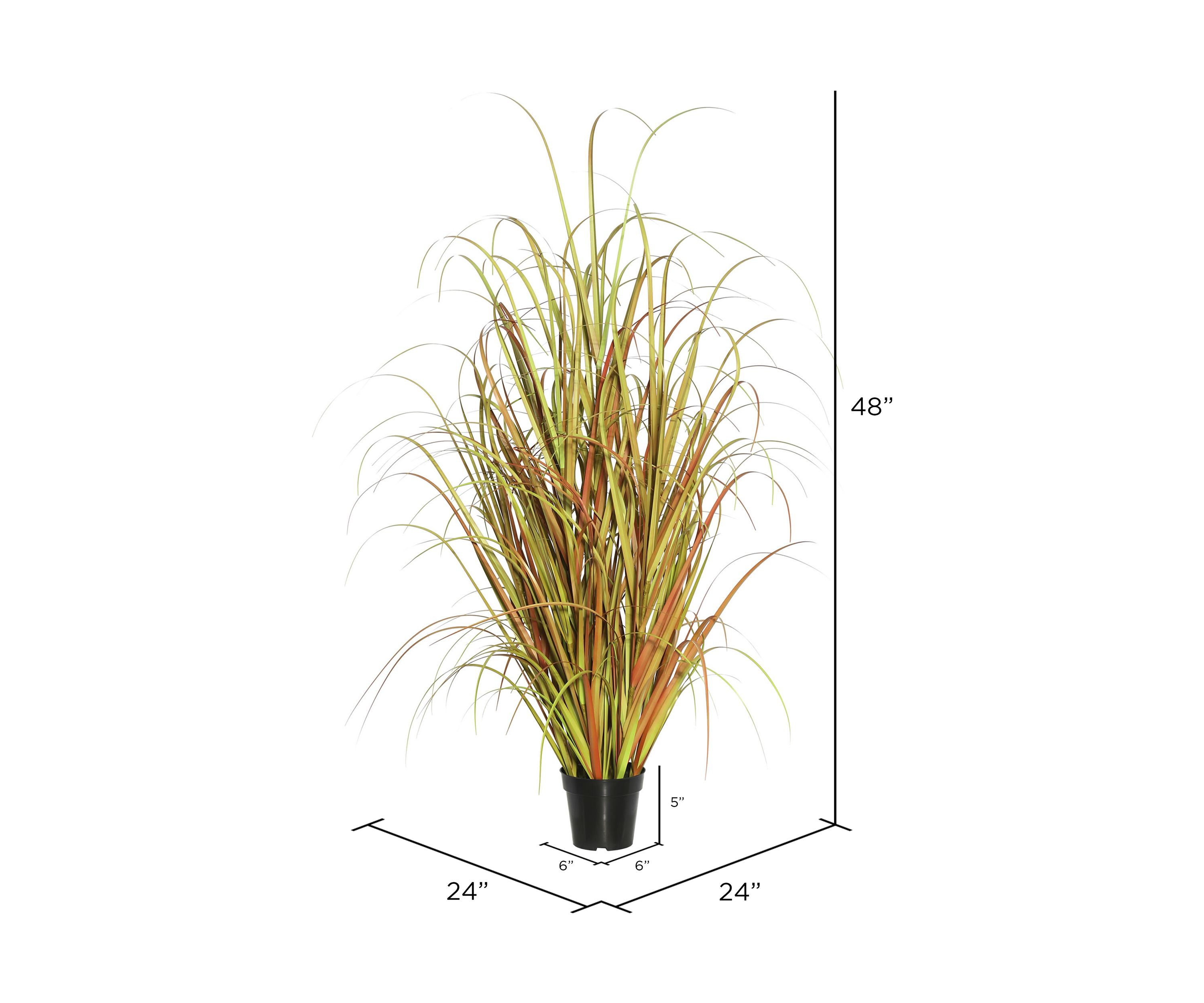 Potted Mixed Brown Grass