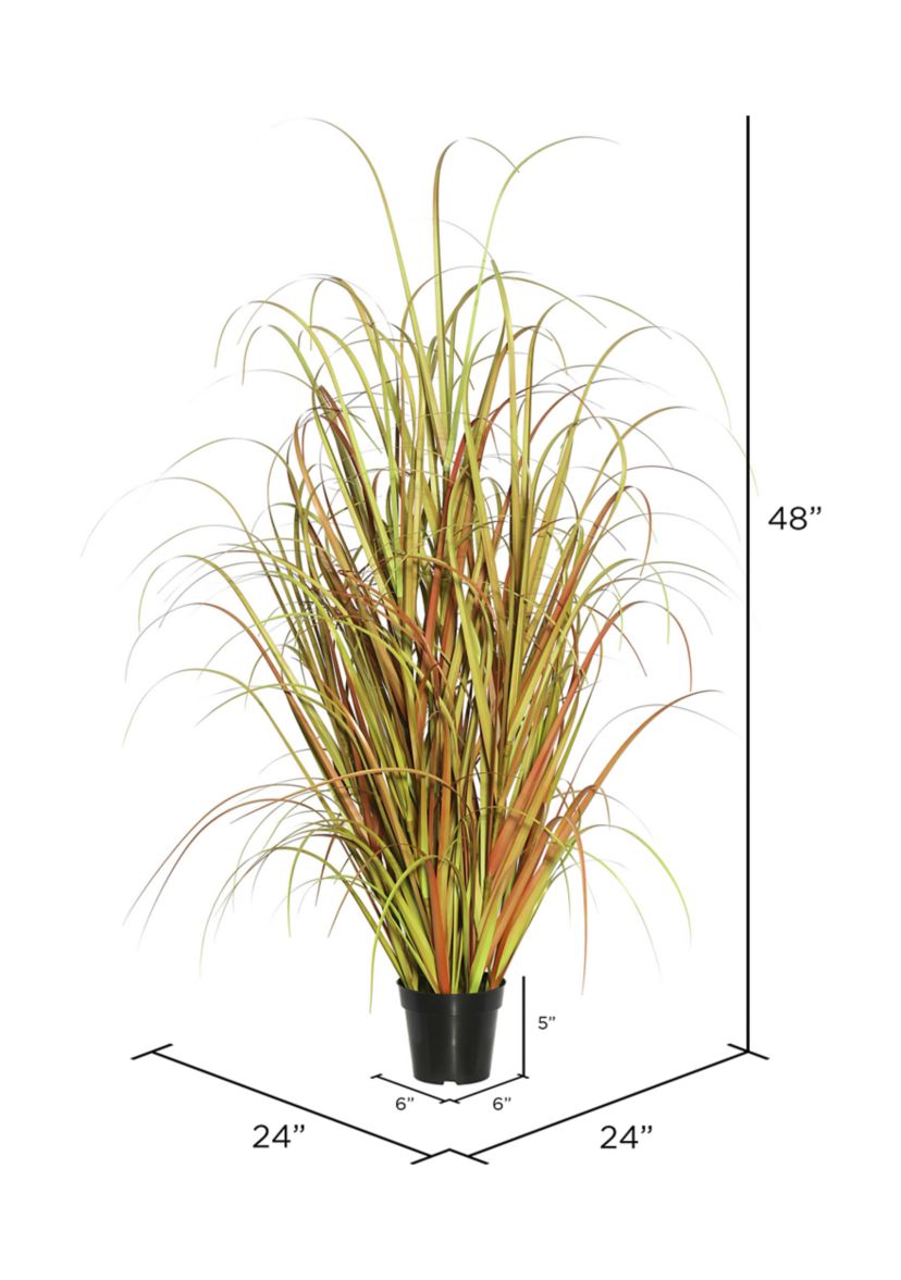 Potted Mixed Brown Grass