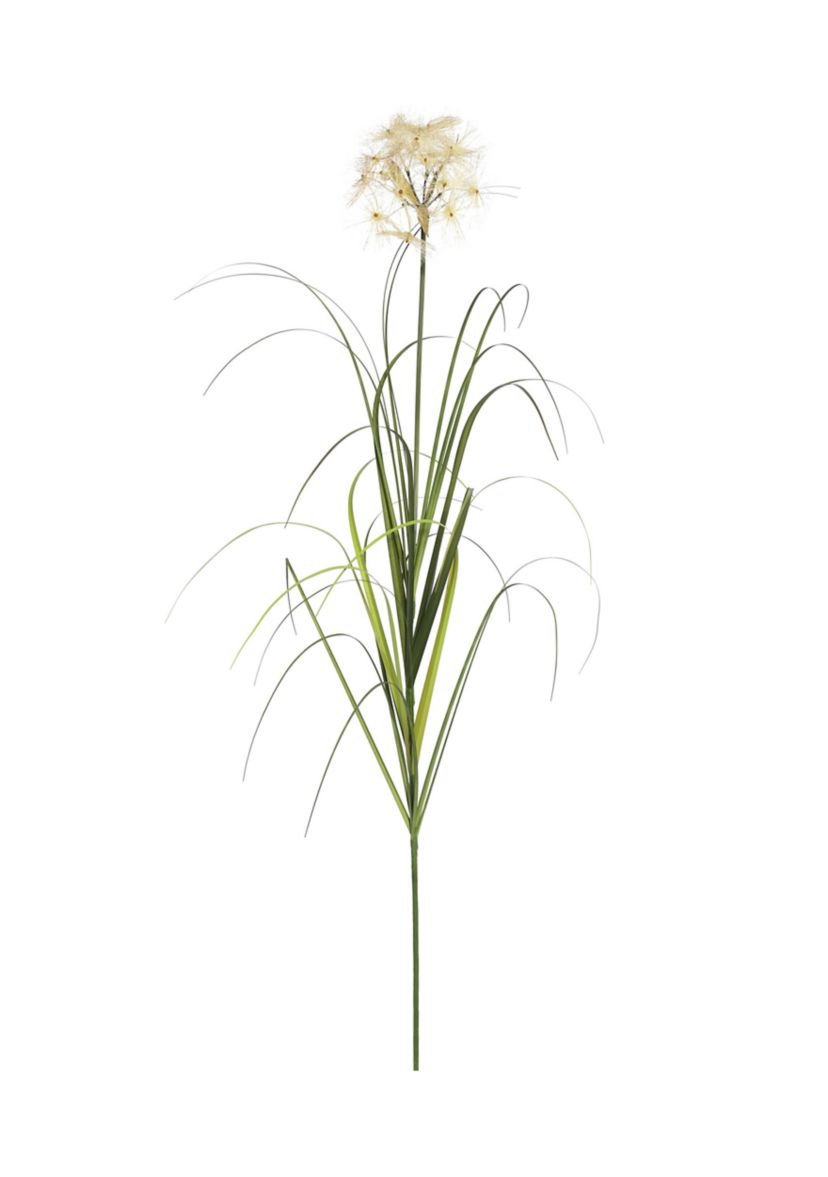 Potted Green Grass