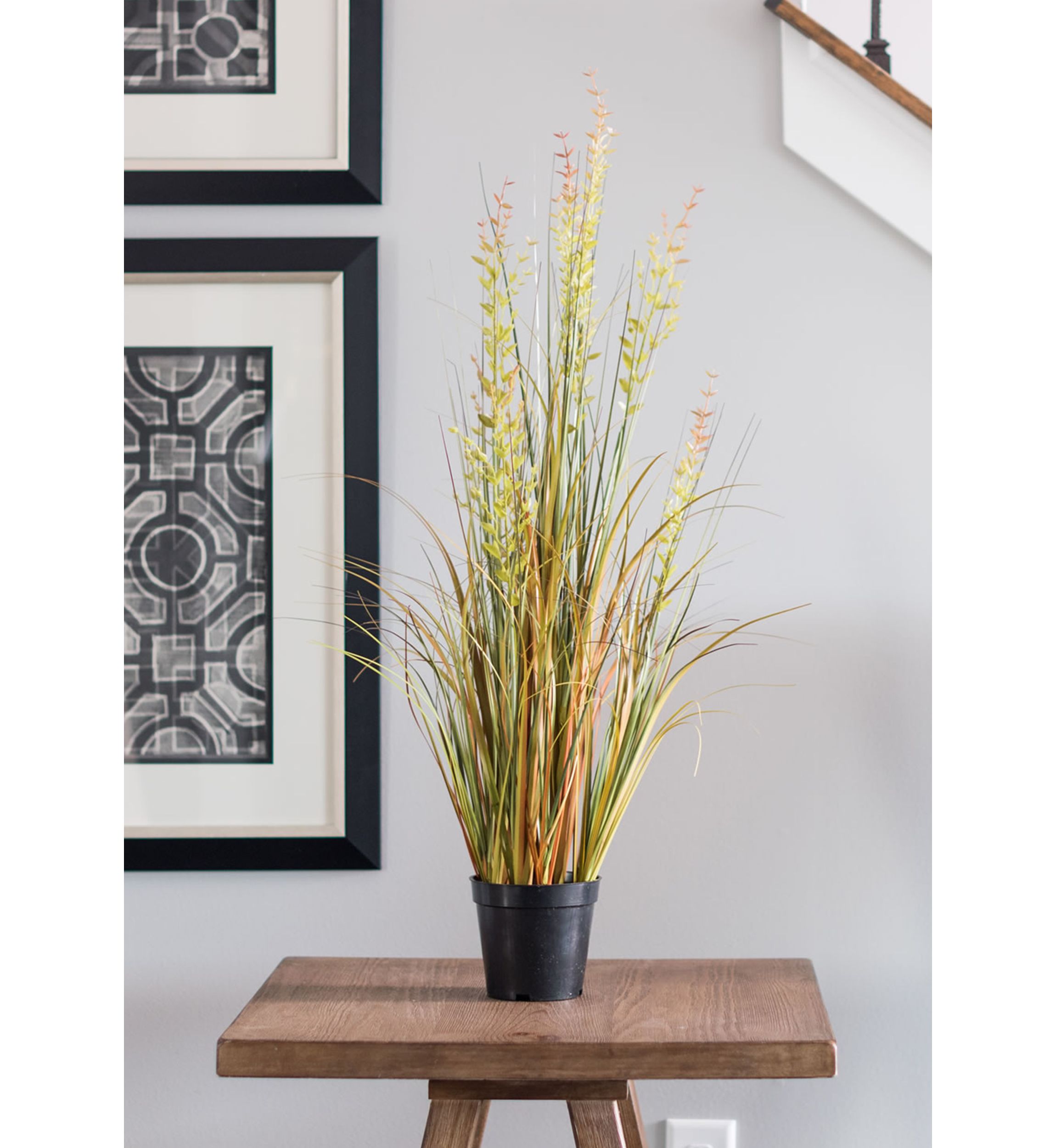 Potted Green and Brown Grass