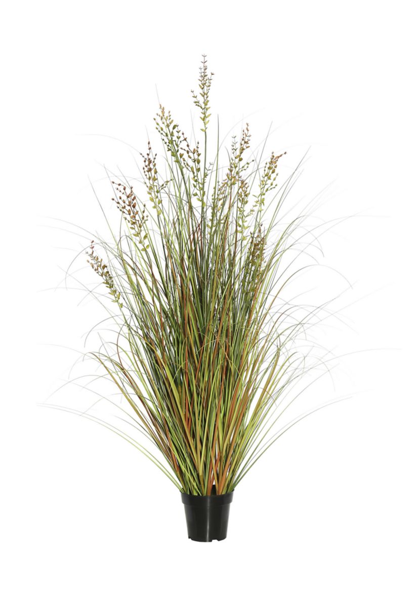 Potted Green and Brown Grass