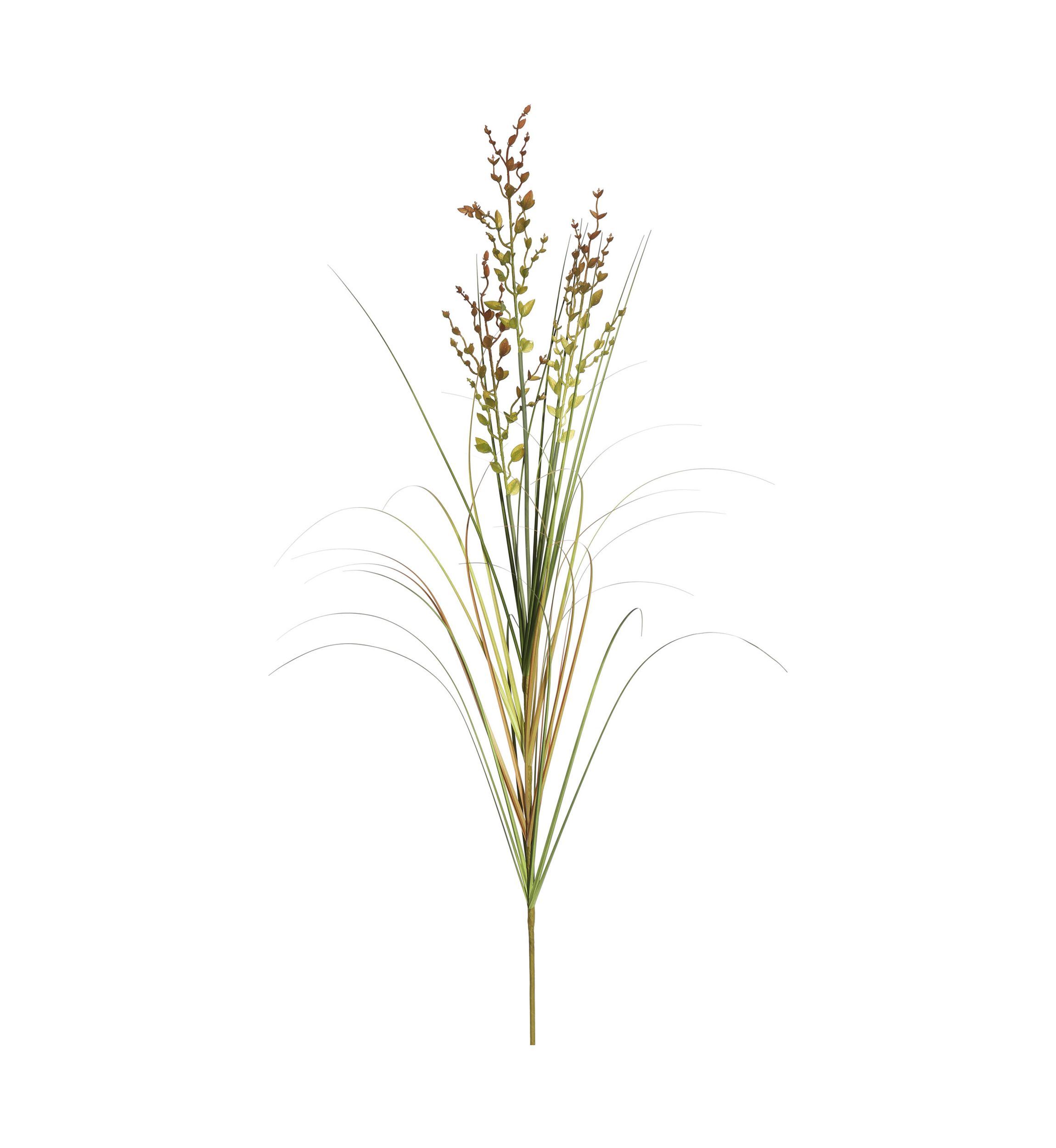 Potted Green and Brown Grass