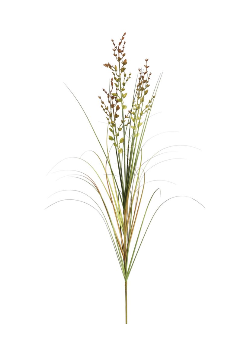 Potted Green and Brown Grass