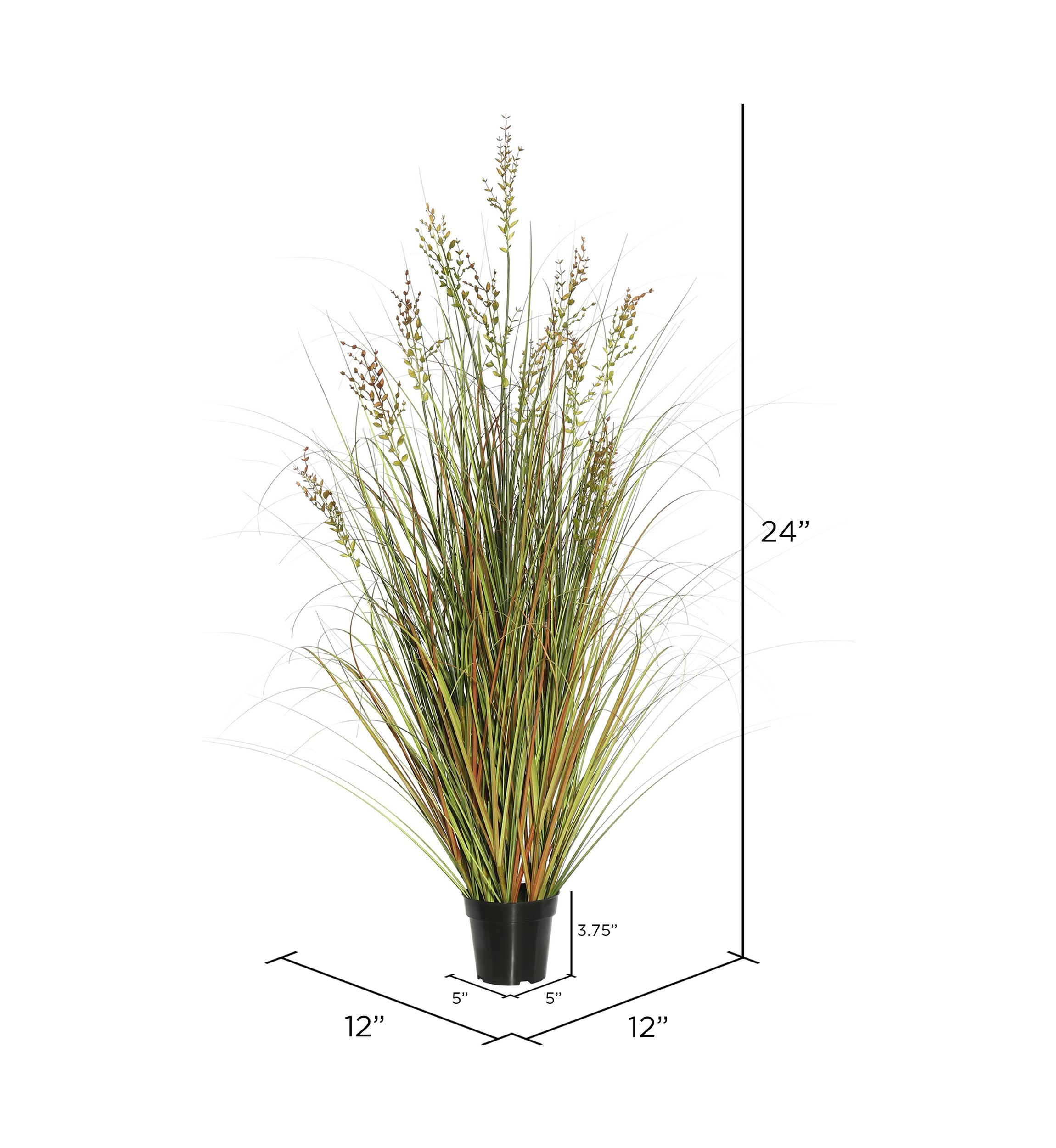 Potted Green and Brown Grass