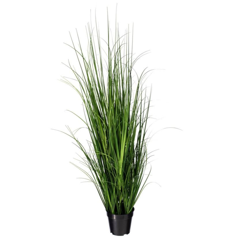 Vickerman 48" Potted Green Lemongrass