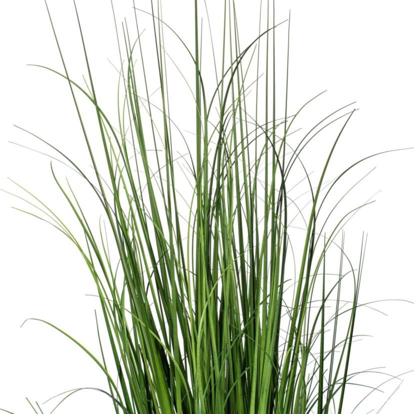 Vickerman 48" Potted Green Lemongrass