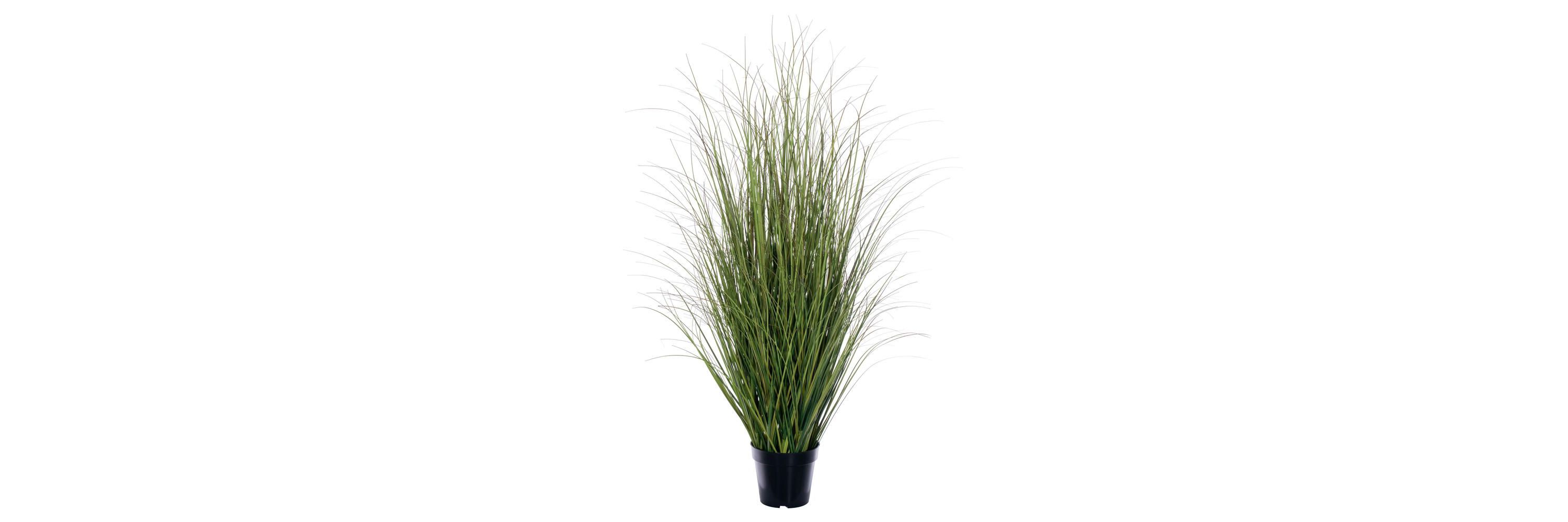 Vickerman 48" Potted Green/Brown Switchgrass. Elevate your home or office decor with Vickermans 48-inch Potted Faux Grass. This artificial plant adds a natural touch to your indoor space with its lush green grass. Ideal for those seeking to incorporate the beauty of nature into their space without the upkeep of real plants. Crafted with high-quality materials, this potted faux grass plant offers a realistic and intricate design that mimics the natural beauty of plants. Its delicate details and lifelike appearance make it a perfect addition to any room, providing an inviting and relaxing atmosphere. Recommended for indoor use, this low-maintenance artificial plant is perfect for green home decor enthusiasts who desire a touch of greenery without the hassle of plant care. This versatile faux greenery looks great in any space, whether youre decorating your living room, bedroom, or office.