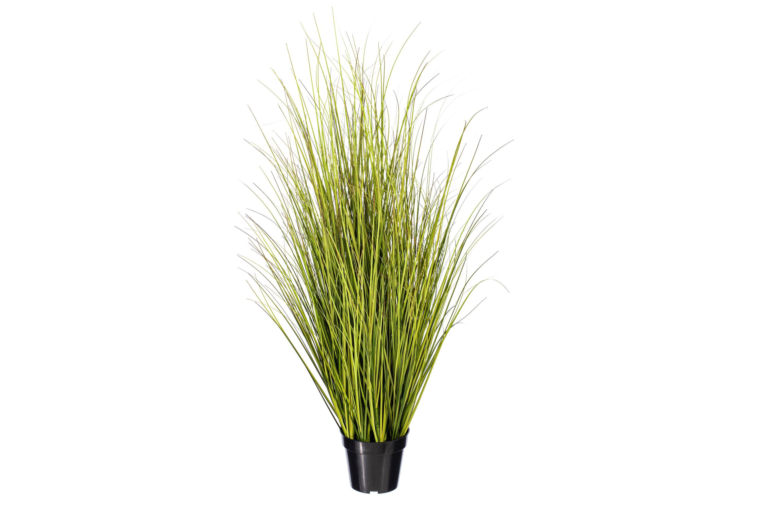 Vickerman 48" Potted Green/Brown Switchgrass. Elevate your home or office decor with Vickermans 48-inch Potted Faux Grass. This artificial plant adds a natural touch to your indoor space with its lush green grass. Ideal for those seeking to incorporate the beauty of nature into their space without the upkeep of real plants. Crafted with high-quality materials, this potted faux grass plant offers a realistic and intricate design that mimics the natural beauty of plants. Its delicate details and lifelike appearance make it a perfect addition to any room, providing an inviting and relaxing atmosphere. Recommended for indoor use, this low-maintenance artificial plant is perfect for green home decor enthusiasts who desire a touch of greenery without the hassle of plant care. This versatile faux greenery looks great in any space, whether youre decorating your living room, bedroom, or office.