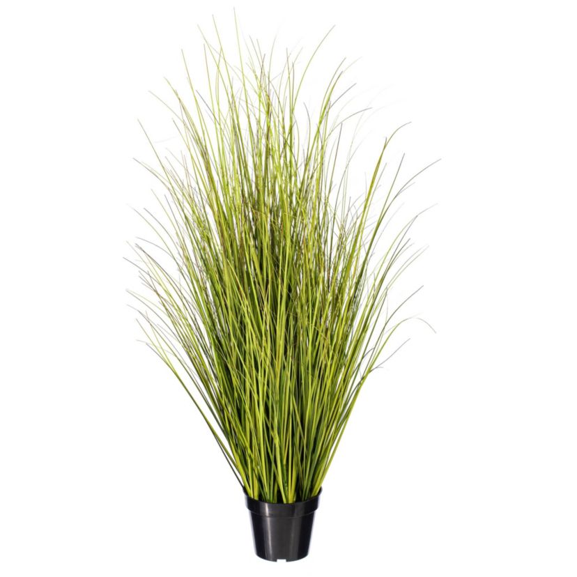 Vickerman 48" Potted Green/Brown Switchgrass. Elevate your home or office decor with Vickermans 48-inch Potted Faux Grass. This artificial plant adds a natural touch to your indoor space with its lush green grass. Ideal for those seeking to incorporate the beauty of nature into their space without the upkeep of real plants. Crafted with high-quality materials, this potted faux grass plant offers a realistic and intricate design that mimics the natural beauty of plants. Its delicate details and lifelike appearance make it a perfect addition to any room, providing an inviting and relaxing atmosphere. Recommended for indoor use, this low-maintenance artificial plant is perfect for green home decor enthusiasts who desire a touch of greenery without the hassle of plant care. This versatile faux greenery looks great in any space, whether youre decorating your living room, bedroom, or office.