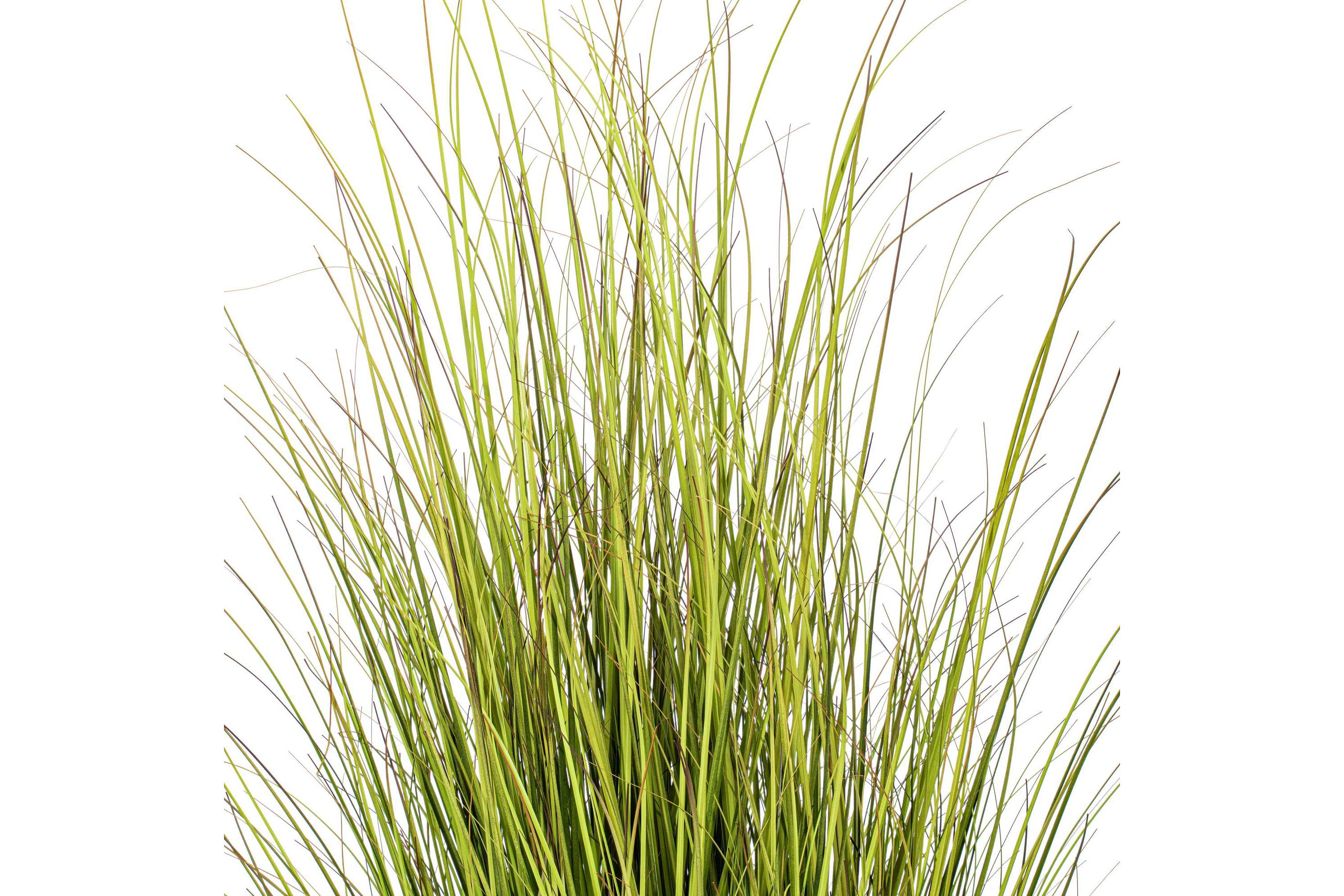 Vickerman 48" Potted Green/Brown Switchgrass. Elevate your home or office decor with Vickermans 48-inch Potted Faux Grass. This artificial plant adds a natural touch to your indoor space with its lush green grass. Ideal for those seeking to incorporate the beauty of nature into their space without the upkeep of real plants. Crafted with high-quality materials, this potted faux grass plant offers a realistic and intricate design that mimics the natural beauty of plants. Its delicate details and lifelike appearance make it a perfect addition to any room, providing an inviting and relaxing atmosphere. Recommended for indoor use, this low-maintenance artificial plant is perfect for green home decor enthusiasts who desire a touch of greenery without the hassle of plant care. This versatile faux greenery looks great in any space, whether youre decorating your living room, bedroom, or office.