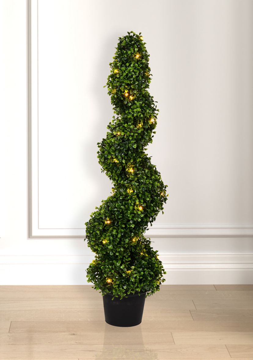 Potted Green Boxwood Spiral Tree