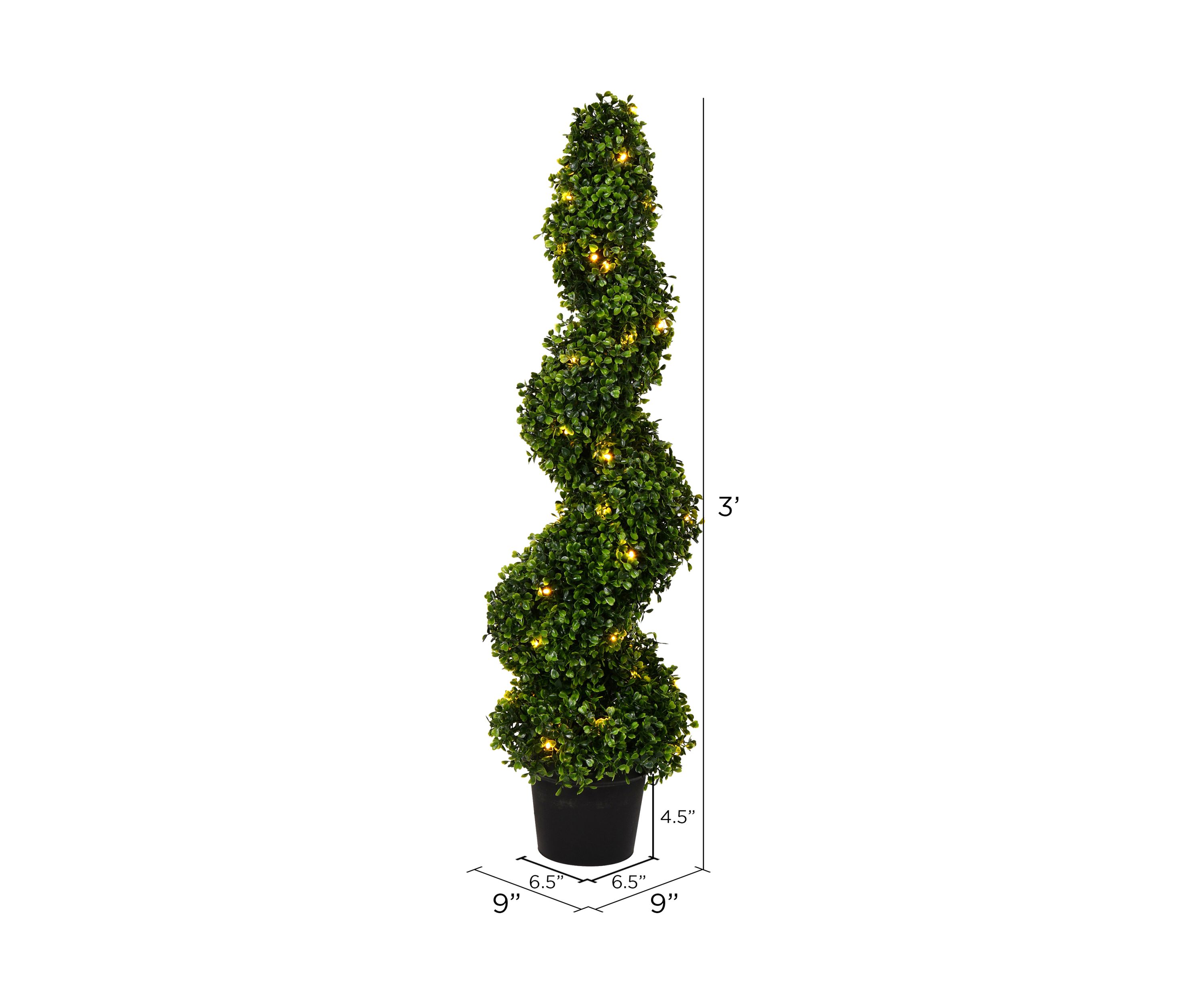 Potted Green Boxwood Spiral Tree