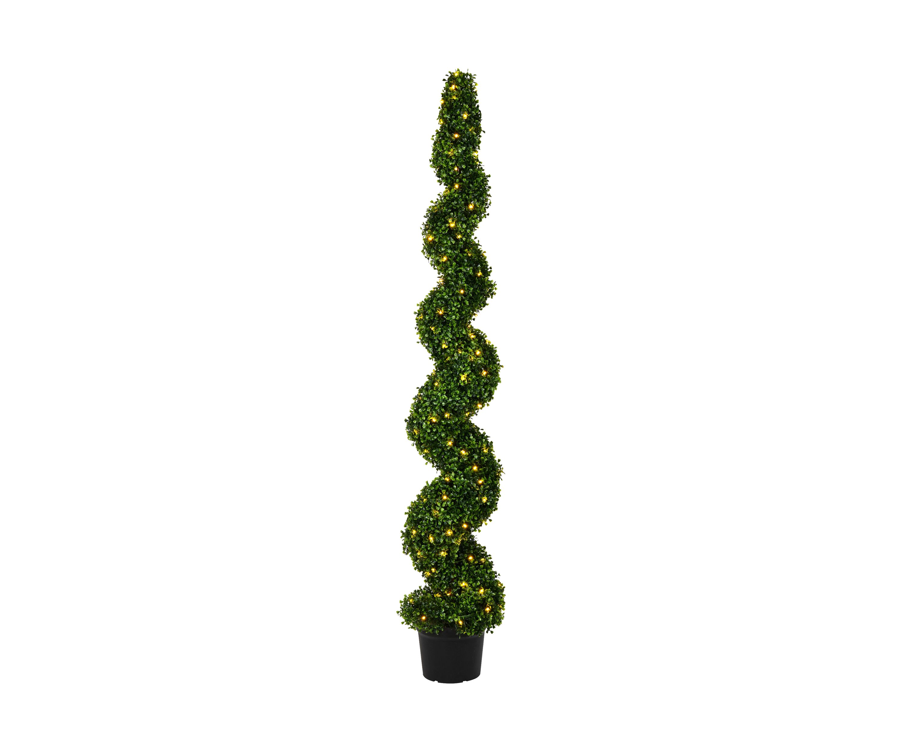 Potted Green Boxwood Spiral Tree